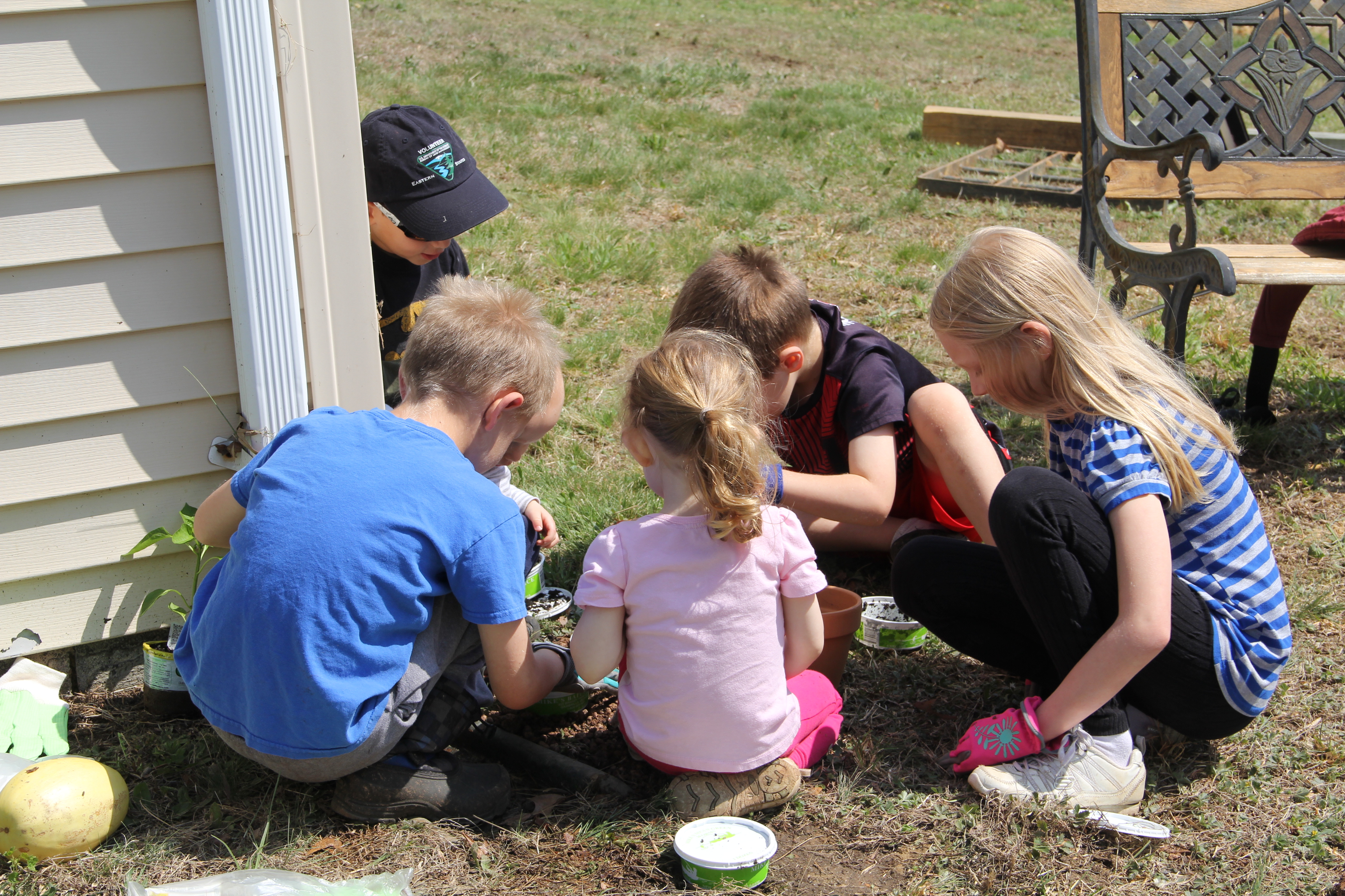 Children crouching around a small outdoor garden patch, examining soil and plants.