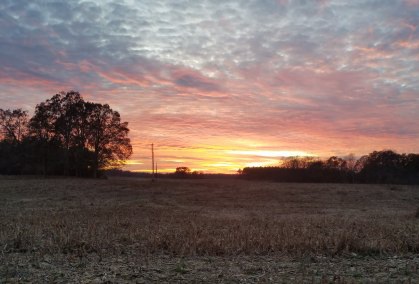Open rural field at sunset with silhouetted trees and a colorful evening sky.