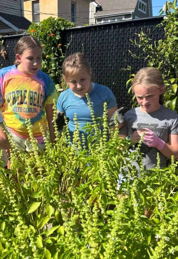 Three girls in a lush garden, one wearing pink gardening gloves, examine tall green plants.