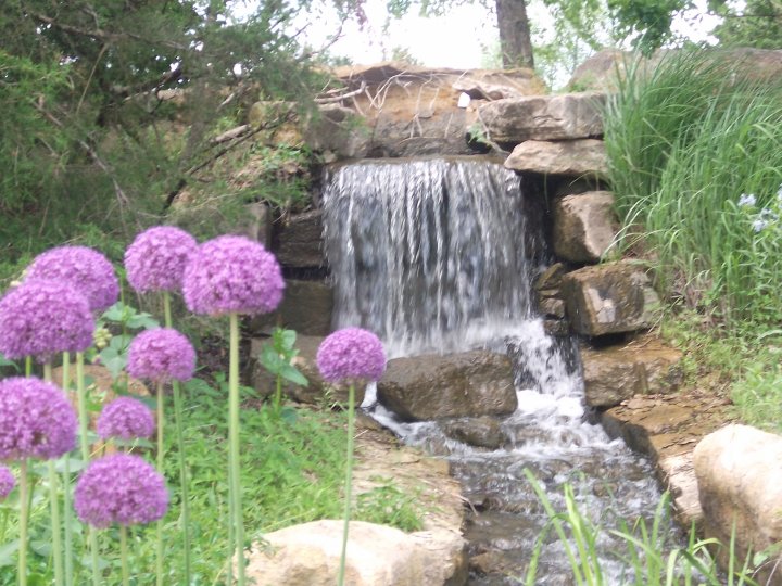 A small stone waterfall surrounded by purple flowers and green trees at a botanical garden.