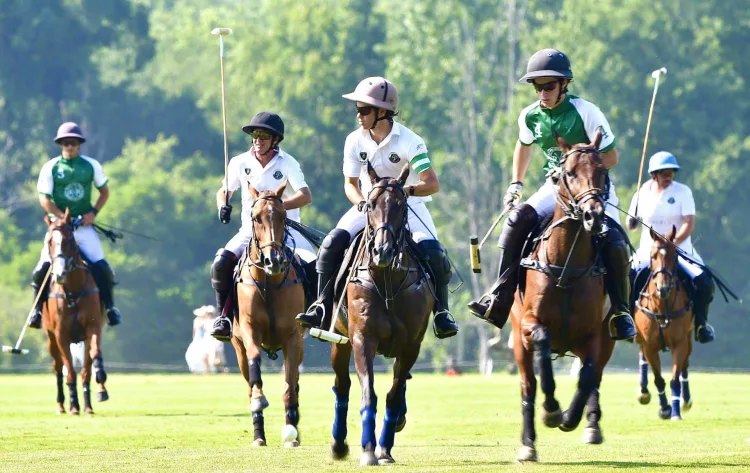 Polo players on horseback compete on a grass field, mallets raised.