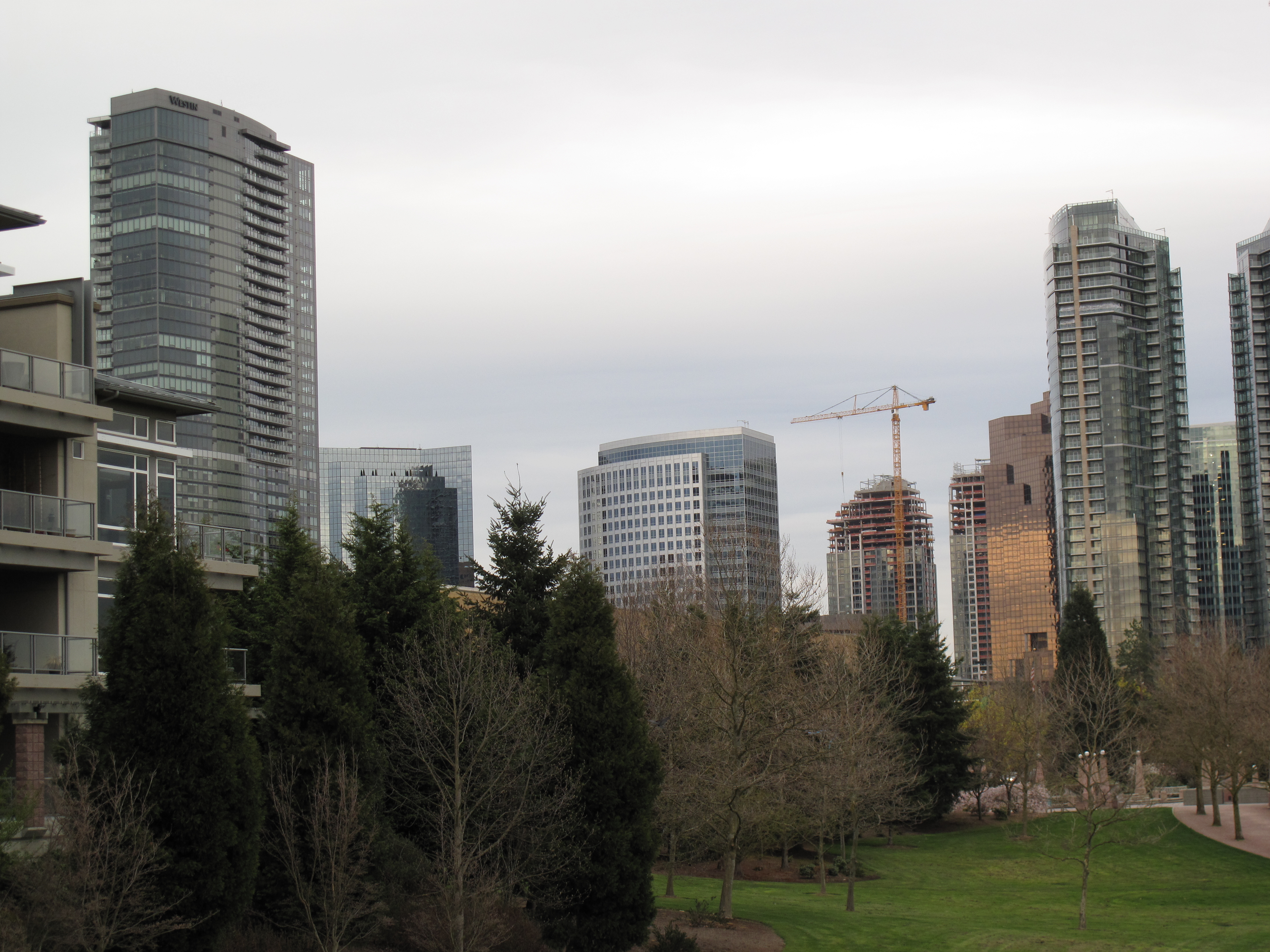 Downtown Bellevue skyscrapers and a construction crane seen from a park.