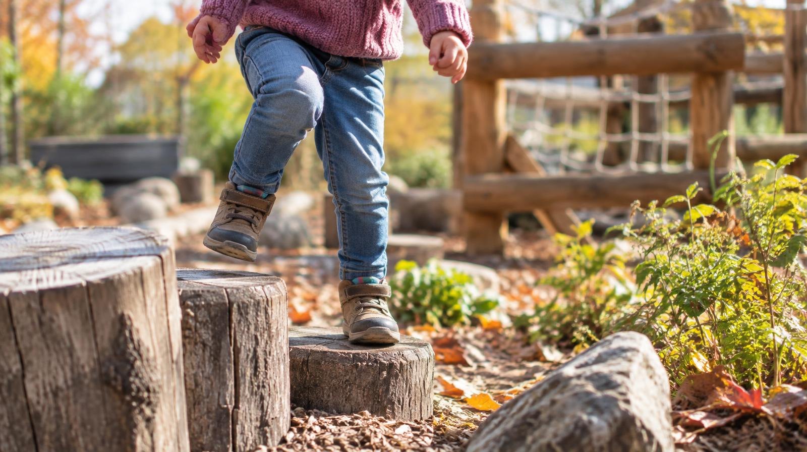 Wooden climbing structures and stepping stones in a natural outdoor playground.