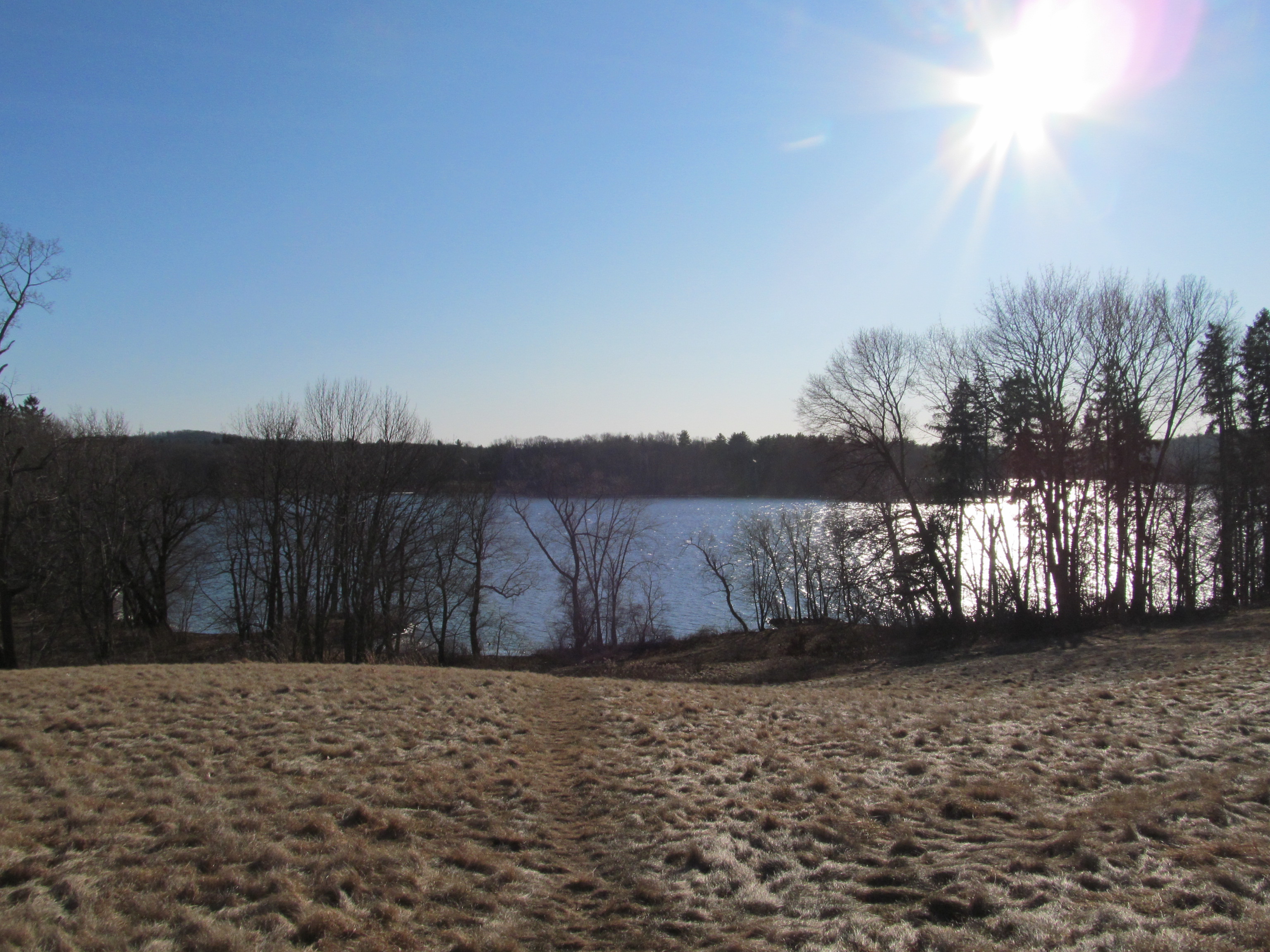 Lake visible through bare trees on a hillside under a bright sunny sky.