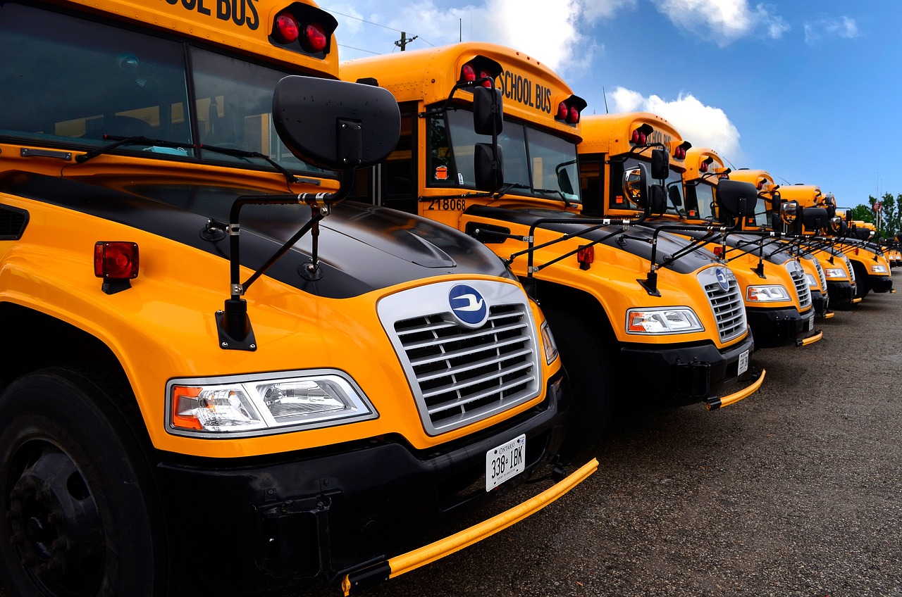 Row of school buses.