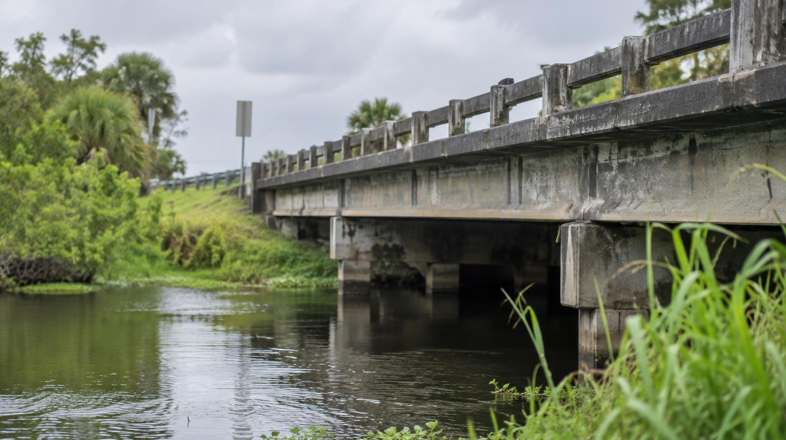 Concrete road bridge with weathered guardrails over a calm, vegetation-lined waterway.