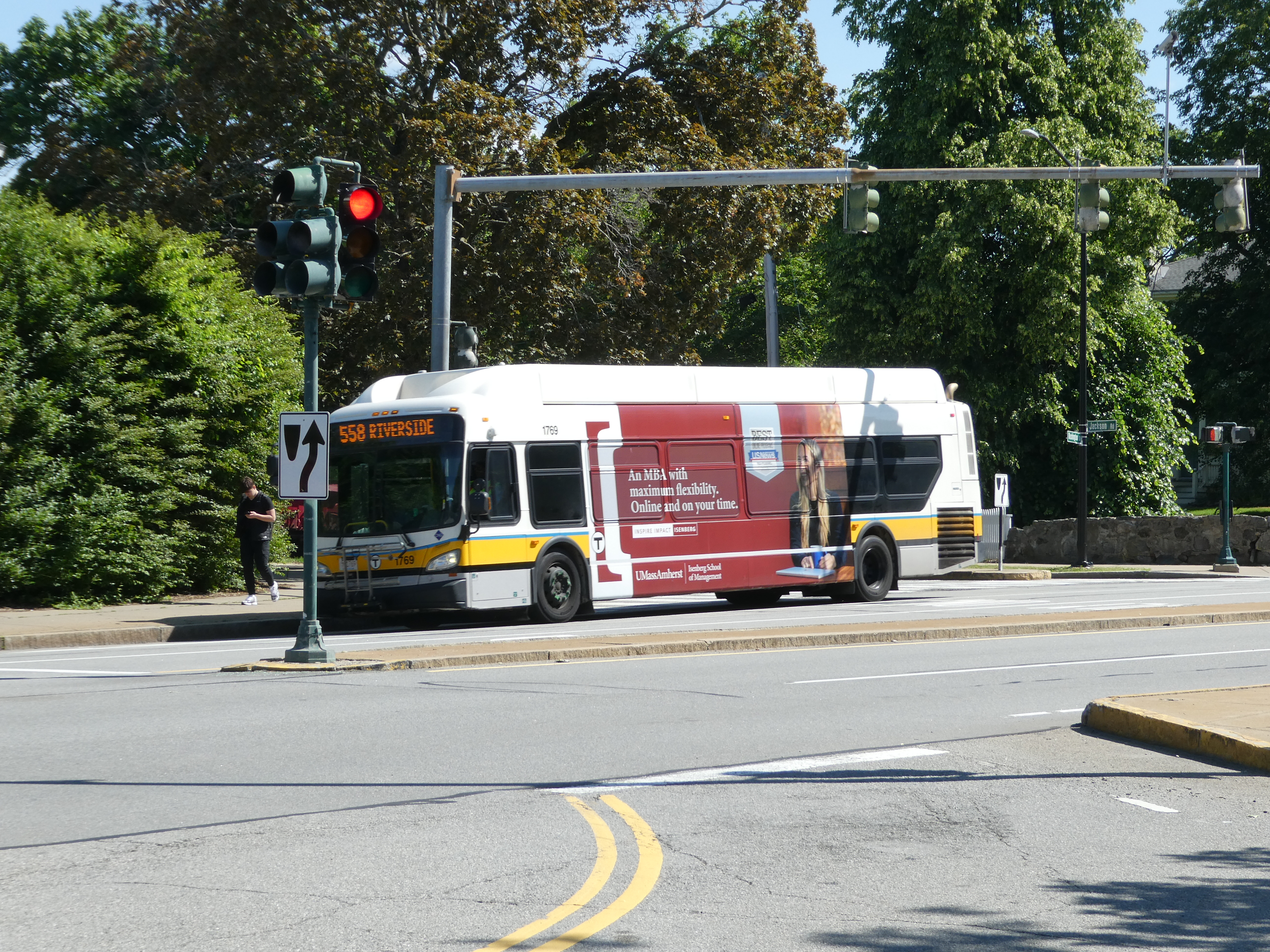 MBTA articulated bus stopped at a red traffic light on a tree-lined street.