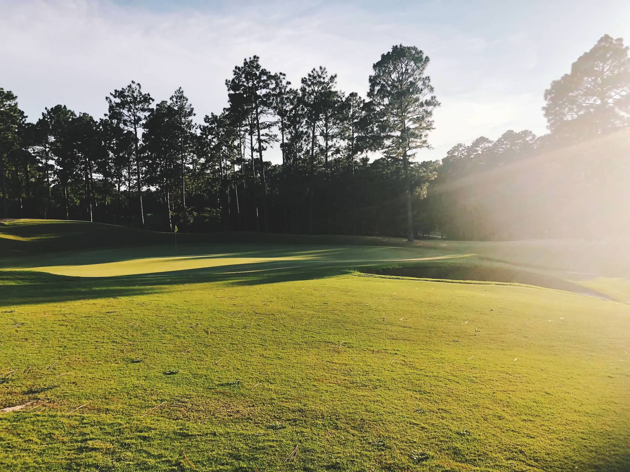 Sunlit golf course fairway and green lined by tall pine trees, with a sand bunker near the green.