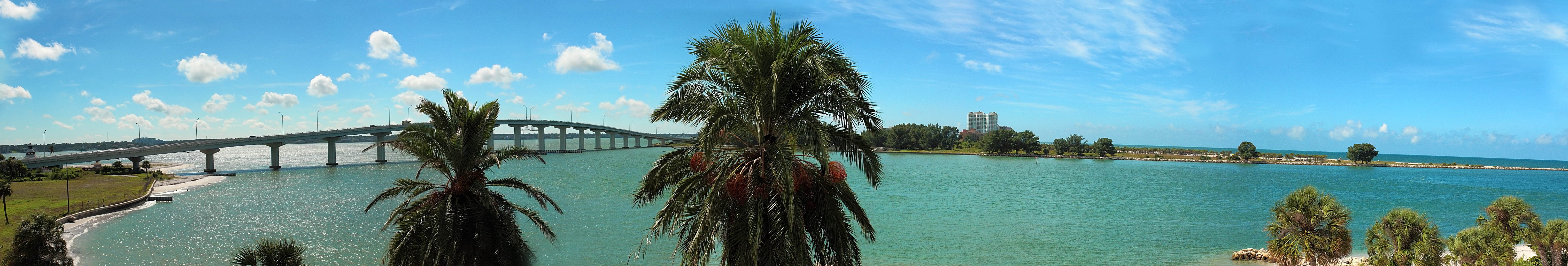 Panoramic view of Sand Key Park waterway with palm trees and a long bridge in the background.