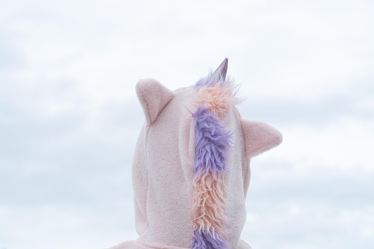 Unicorn, costume, carnival, animal, nature, mythical animal, disguise, rear view, close up, heaven, carnival time