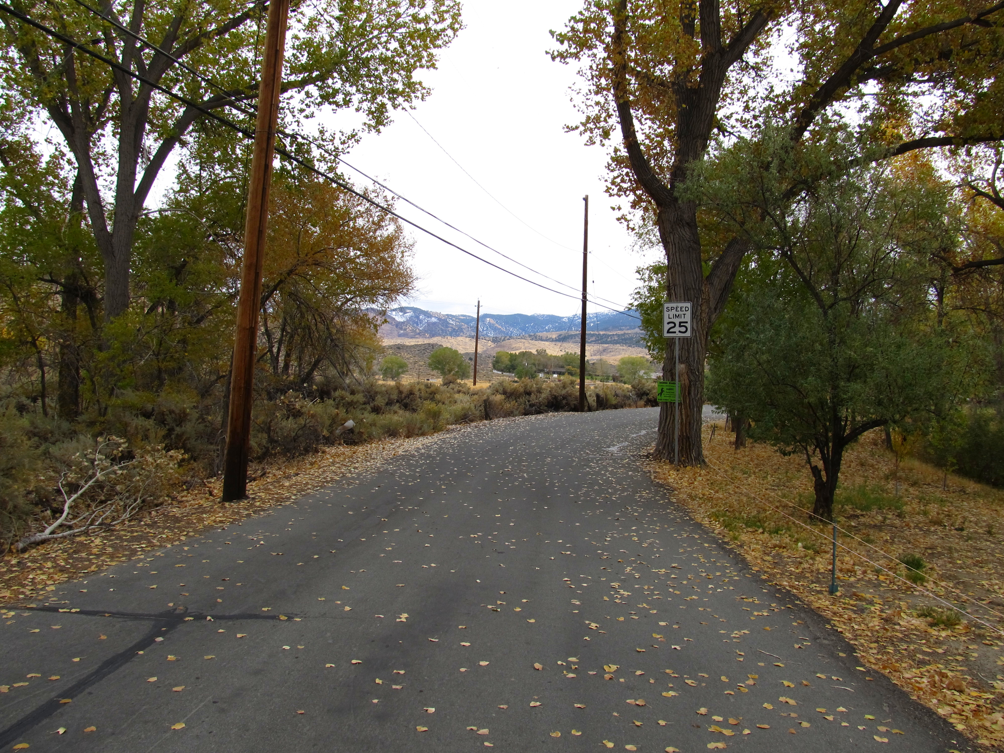 Rural road lined with autumn trees and a 25 mph speed limit sign on the shoulder.