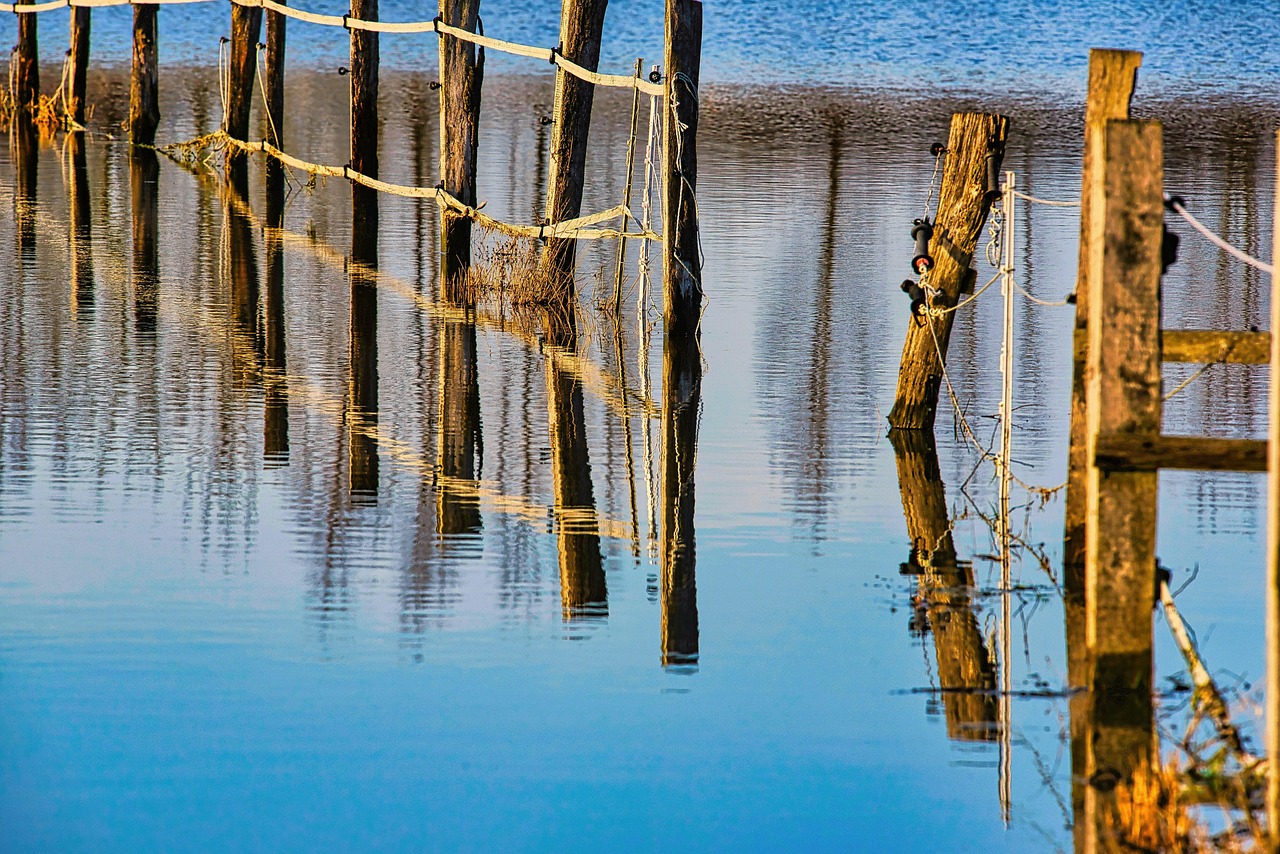 Fence, flooding, water, flood, climate change, flood disaster, nature, flooded, meadow, coupling, landscape, rural, coun