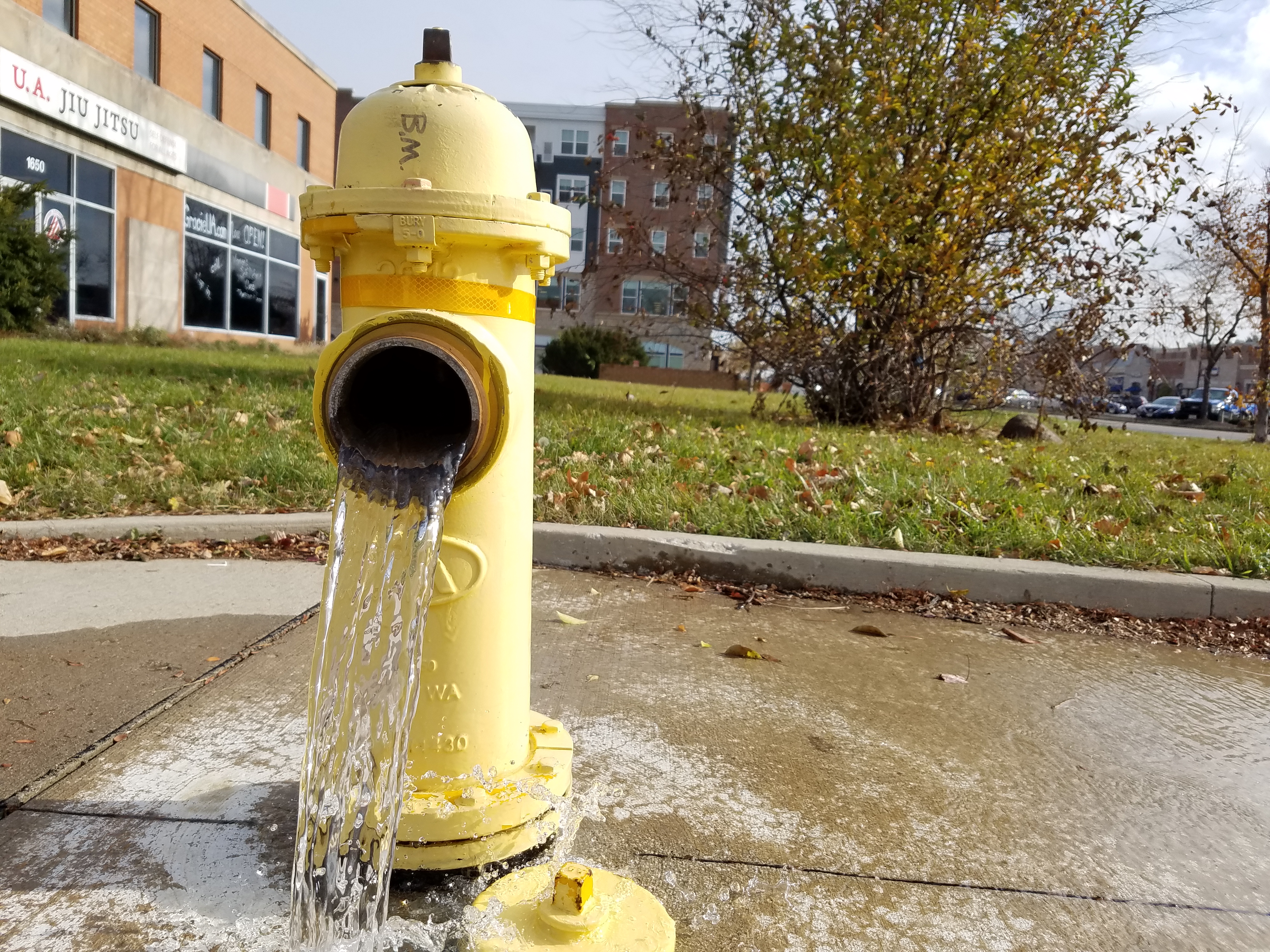 Yellow fire hydrant discharging water onto a sidewalk with trees in the background.