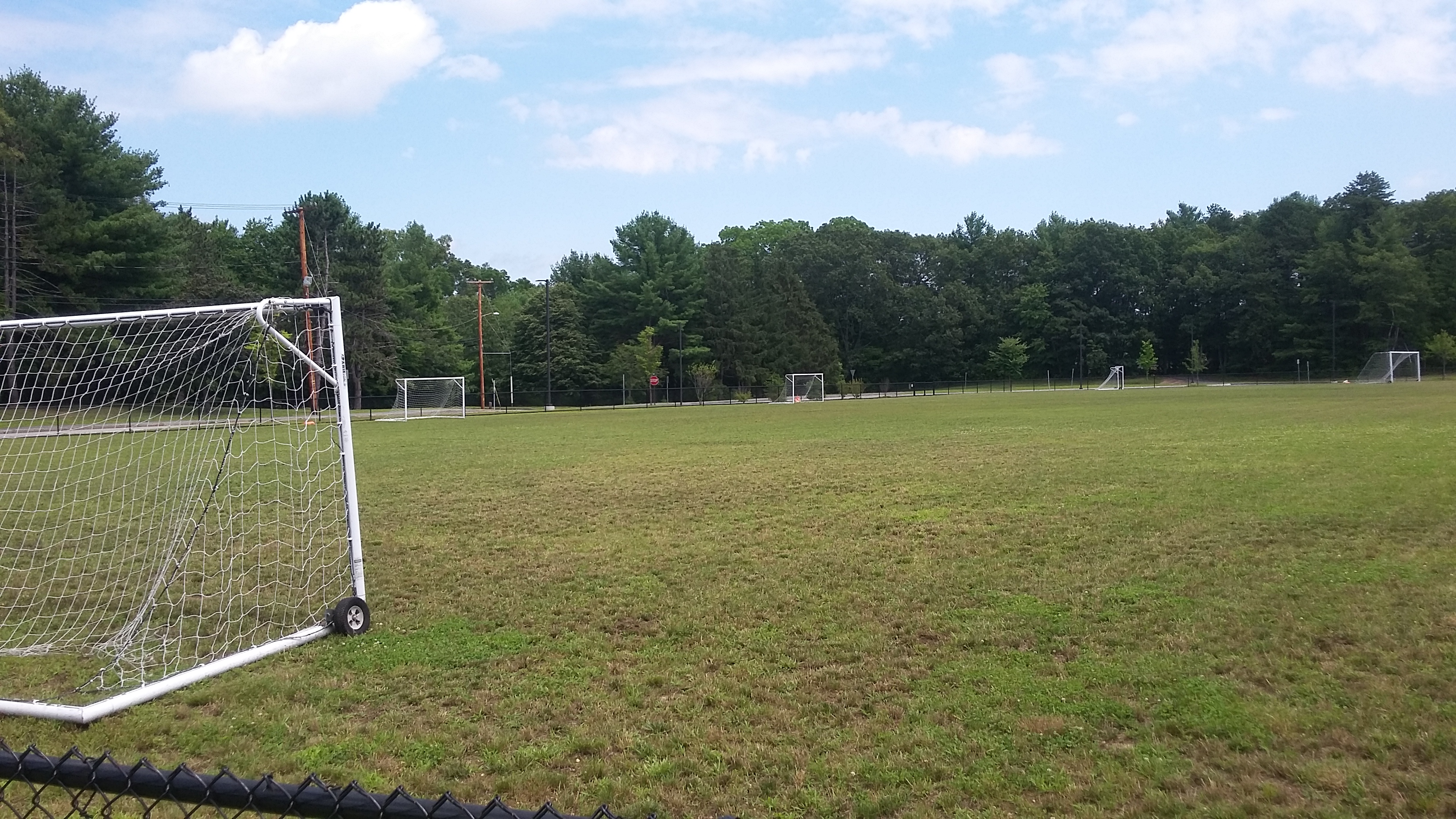 A grass soccer field with a white goal and netting under a partly cloudy sky.