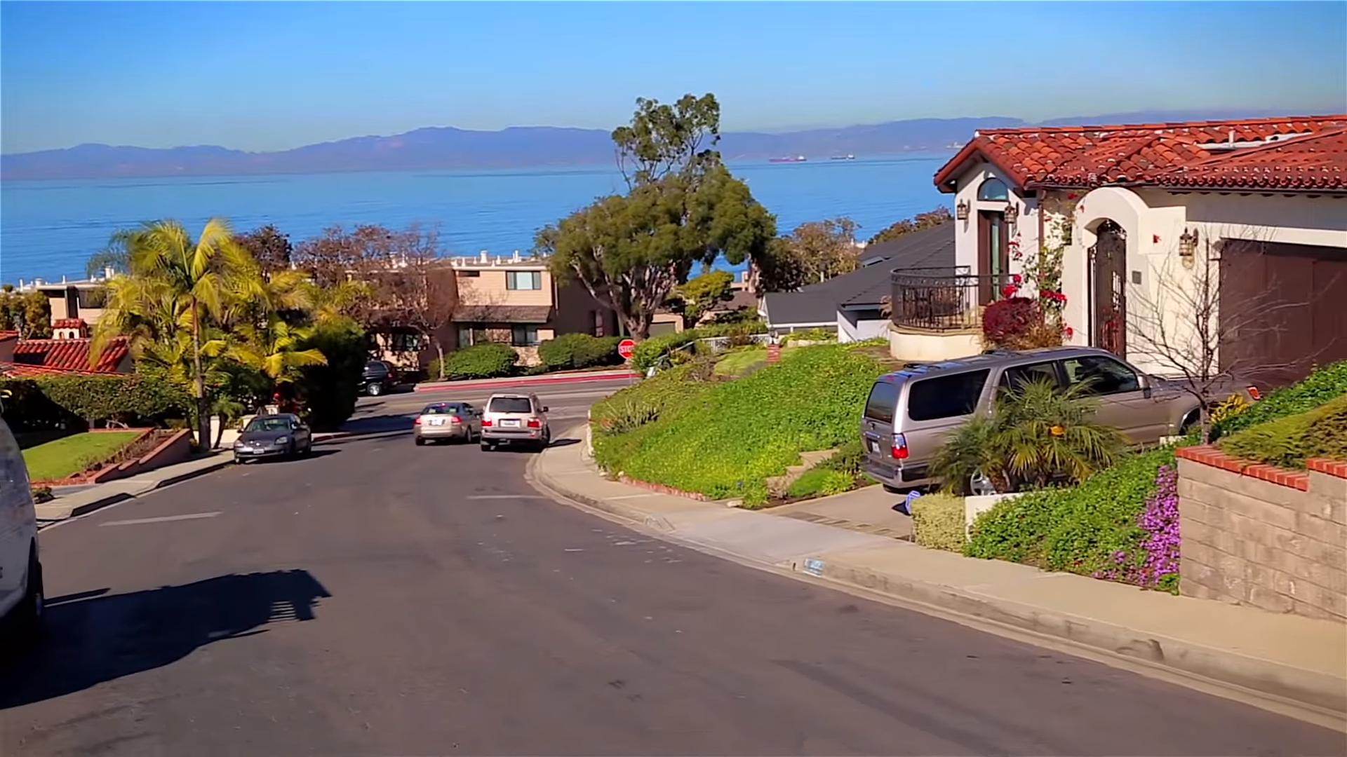 A sloping residential street lined with homes and palm trees, with an ocean view in the distance.