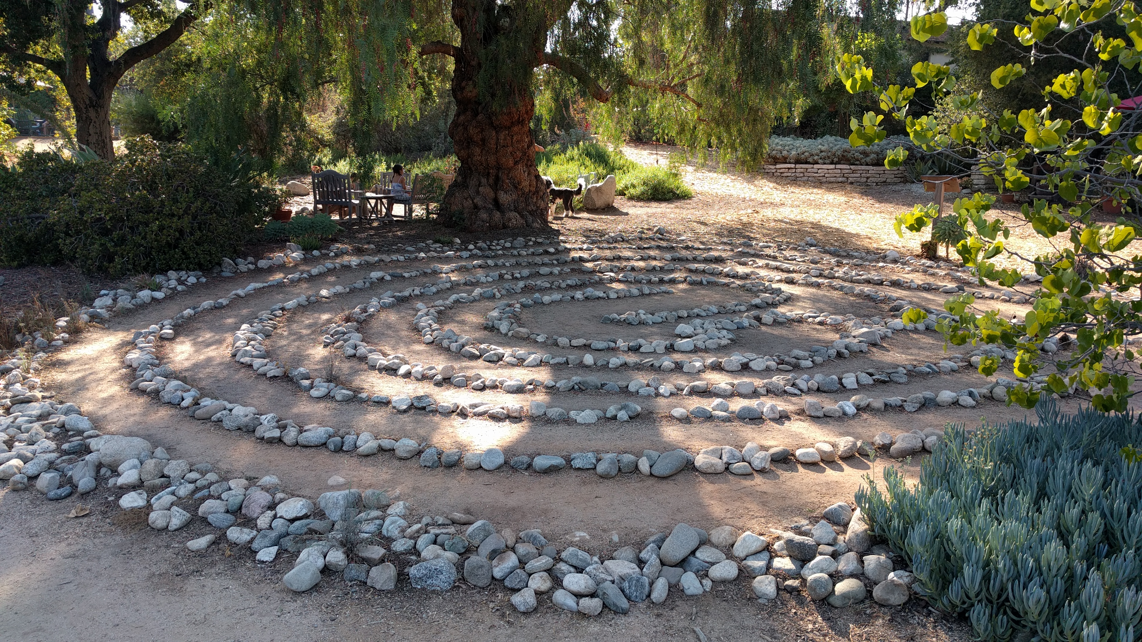 Circular stone labyrinth on a dirt path surrounded by trees and shrubs in a garden.