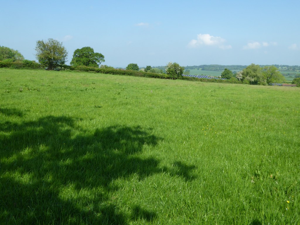 Solar panels visible behind a hedgerow in a green rural field under a partly cloudy sky.
