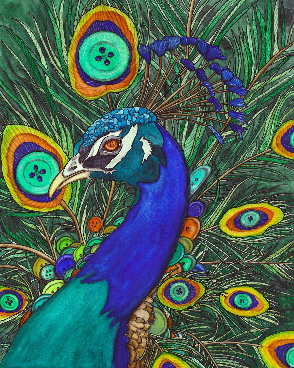 Colorful ink-and-watercolor illustration of a peacock with vibrant tail feathers, eye-spots rendered as buttons.