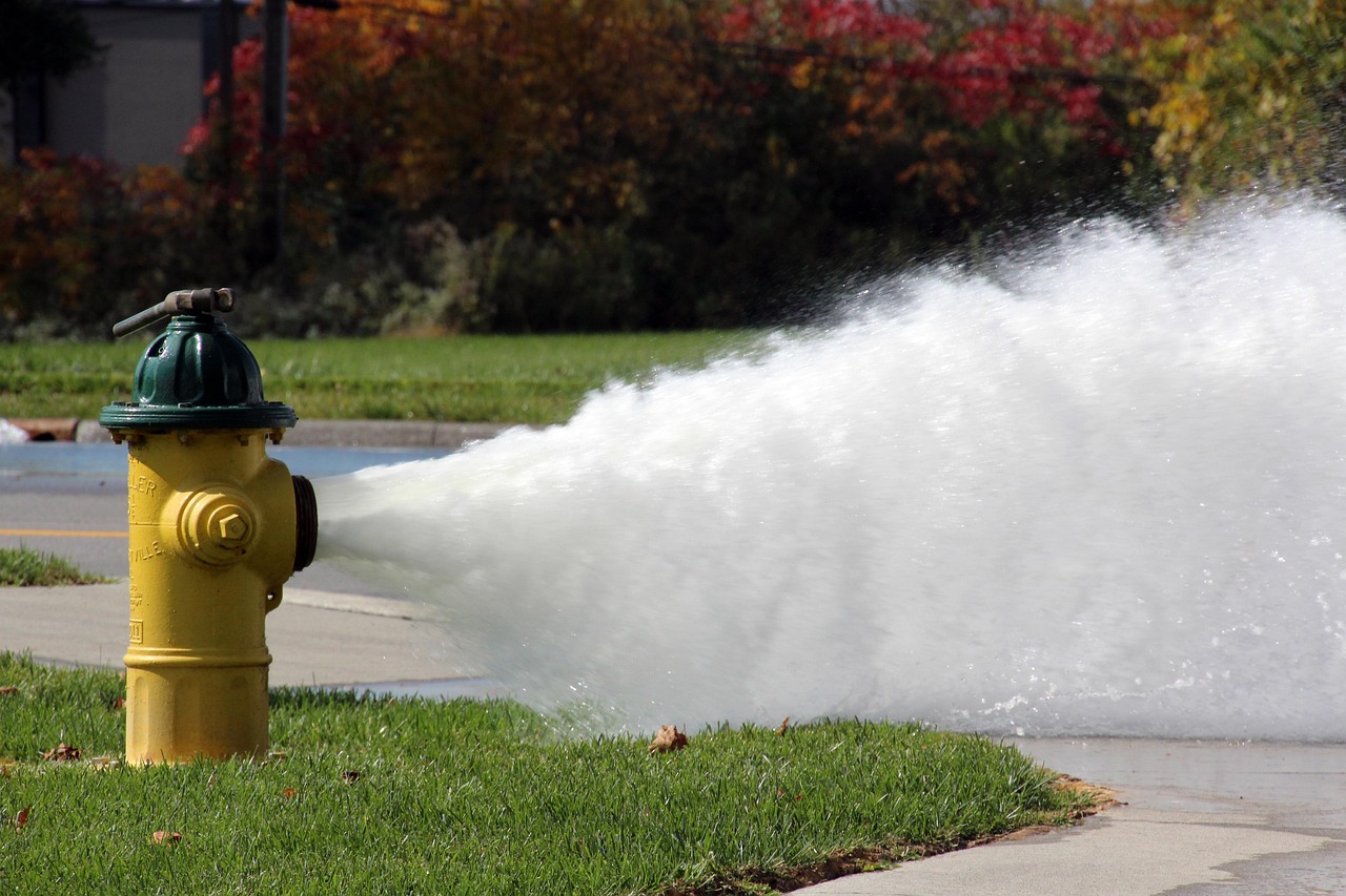 Hydrant, nature, fire plug, vented, flushing, flush, water, stream, flow, gushing