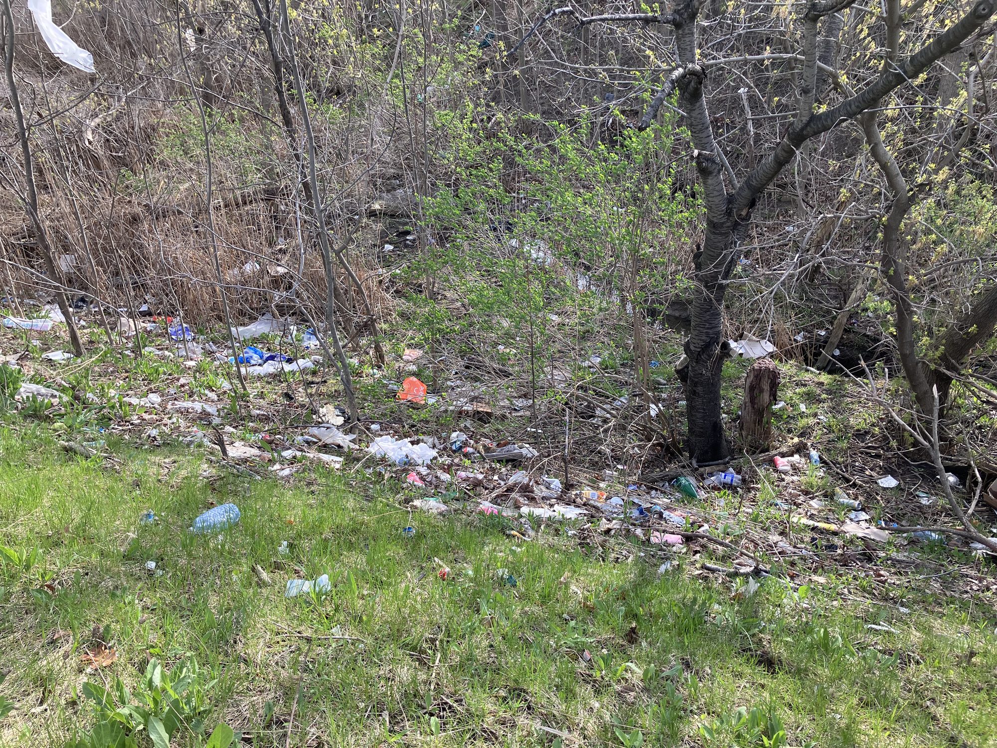 Litter in St. Catharines, Ontario