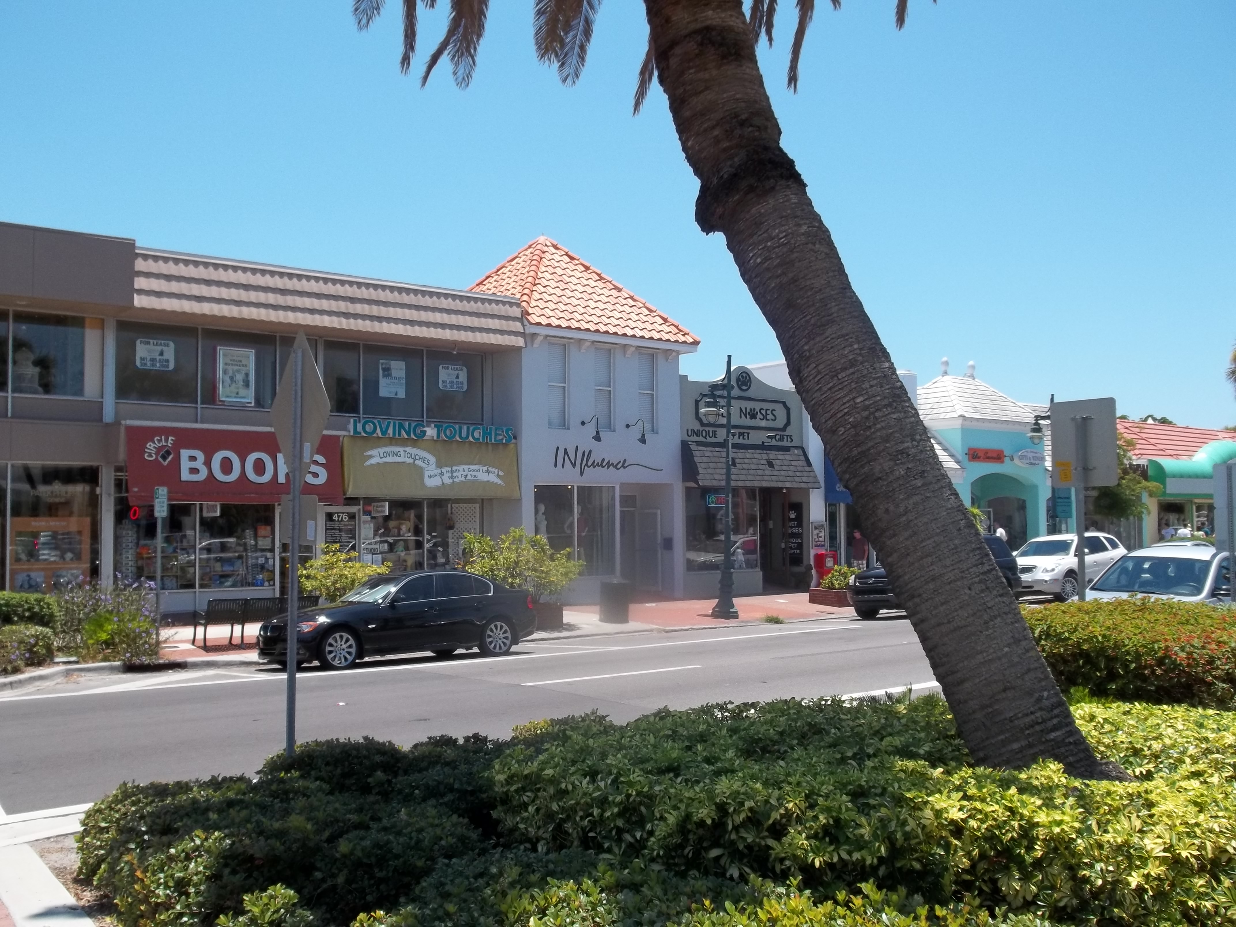 Retail storefronts with palm trees along a sunny commercial street in Florida.