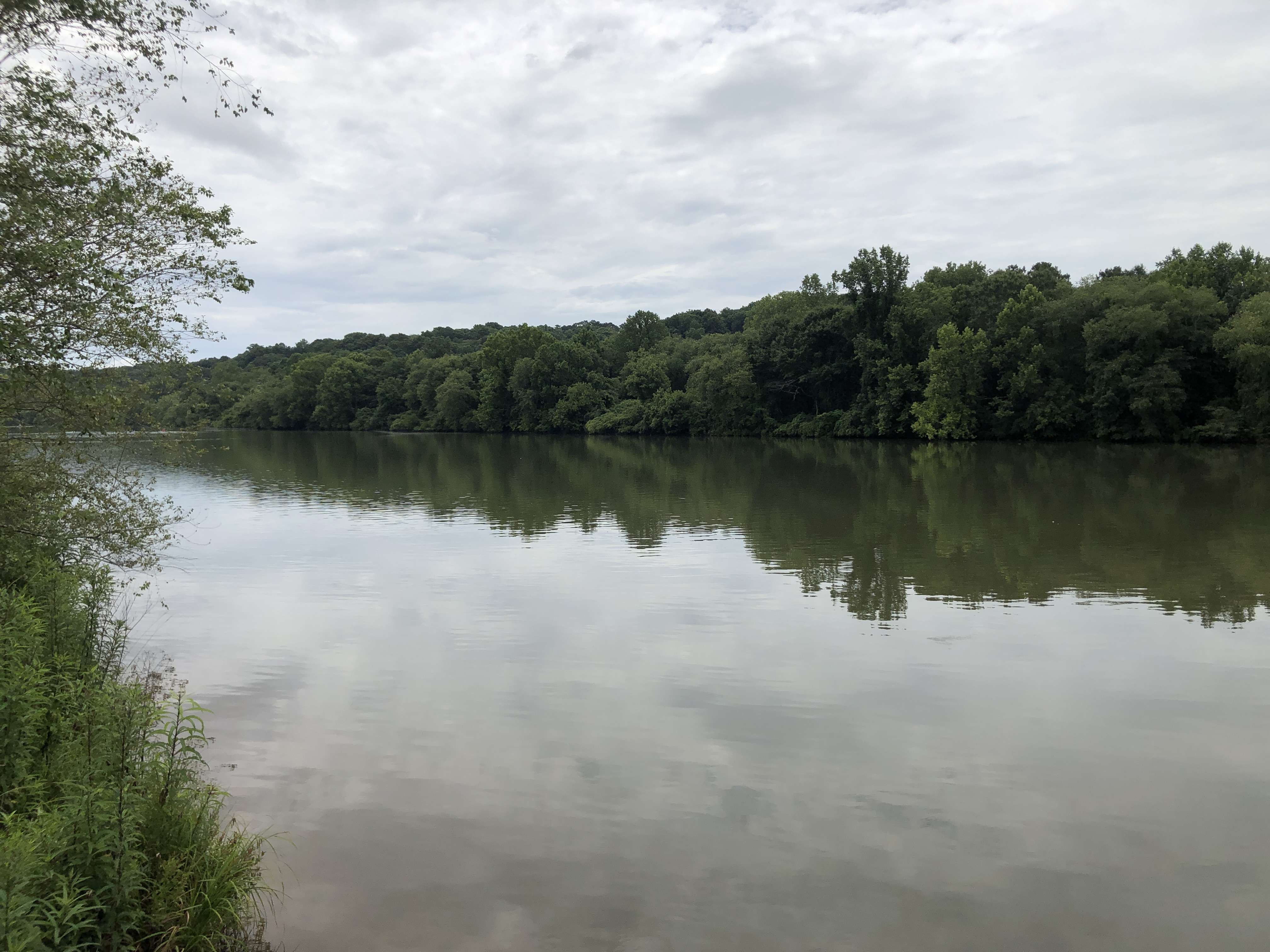 Calm wide river with densely wooded banks reflected in still water.