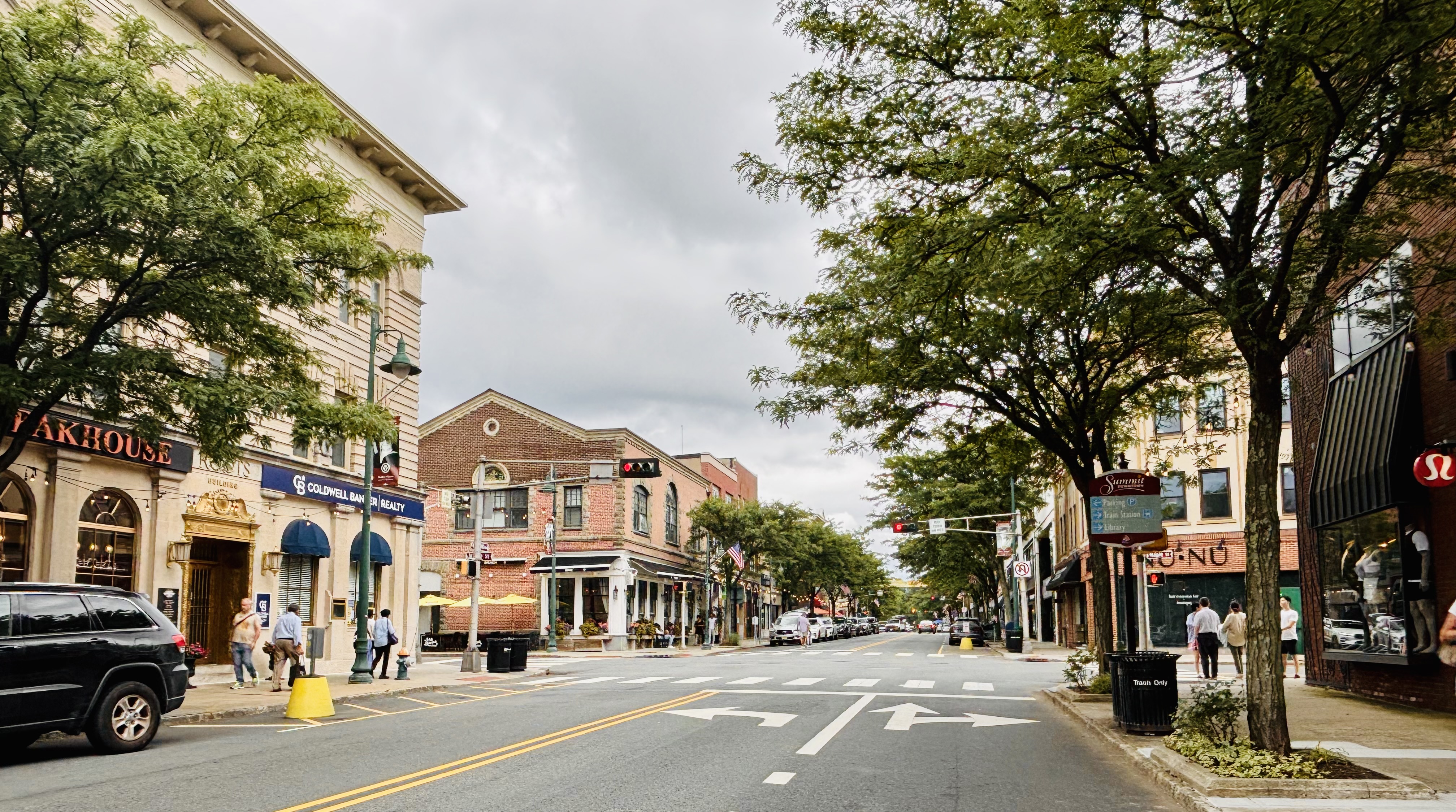 Tree-lined commercial street with brick storefronts and parked cars under a cloudy sky.