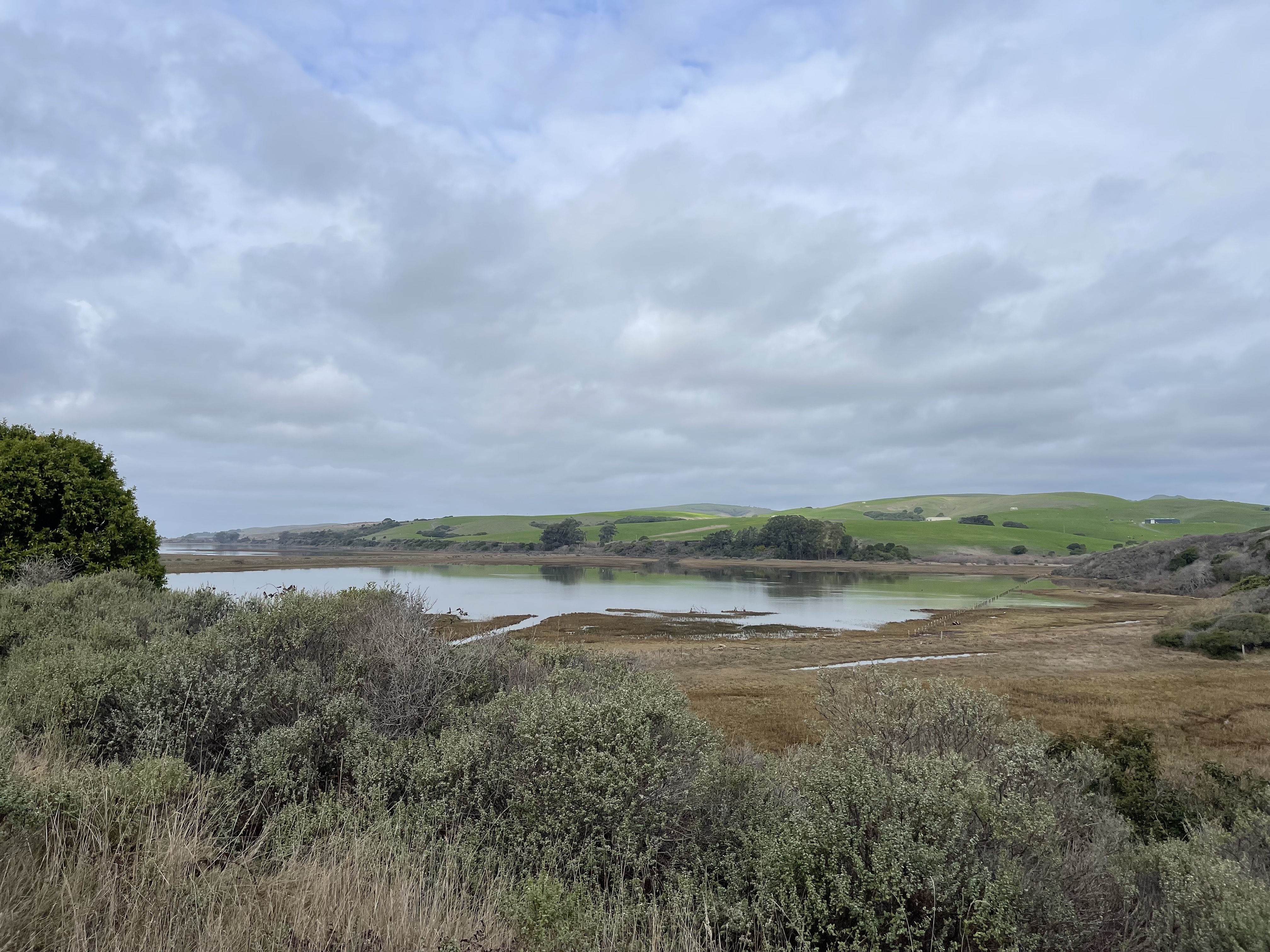 Calm bay waters surrounded by marsh vegetation and green hills under an overcast sky.