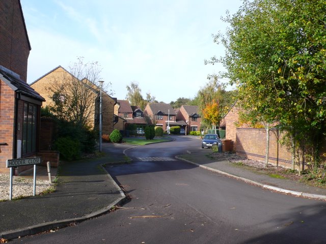 Curved residential cul-de-sac street lined with brick homes and autumn trees.