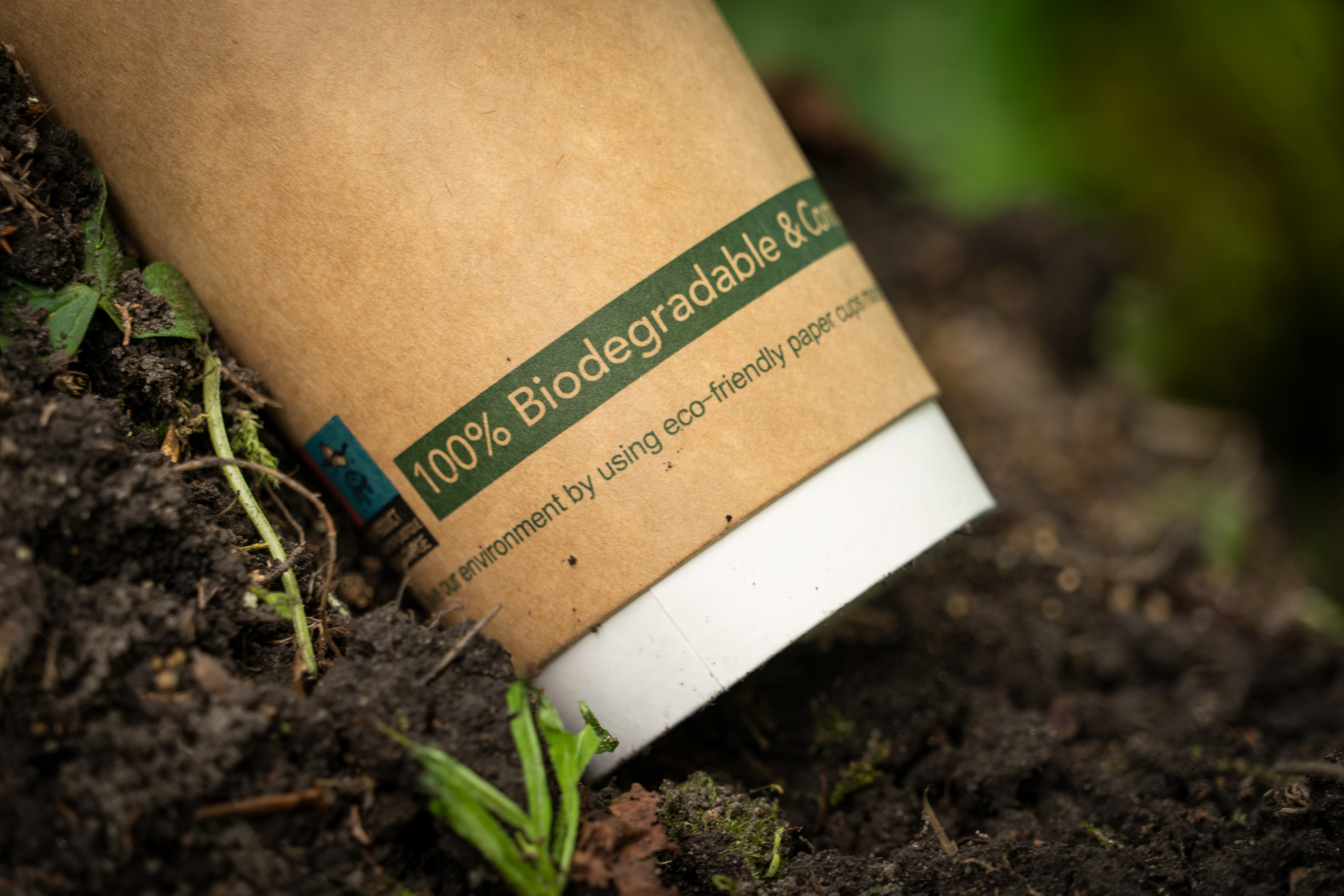 A kraft paper cup labeled biodegradable lying on dark compost soil with small green plants.
