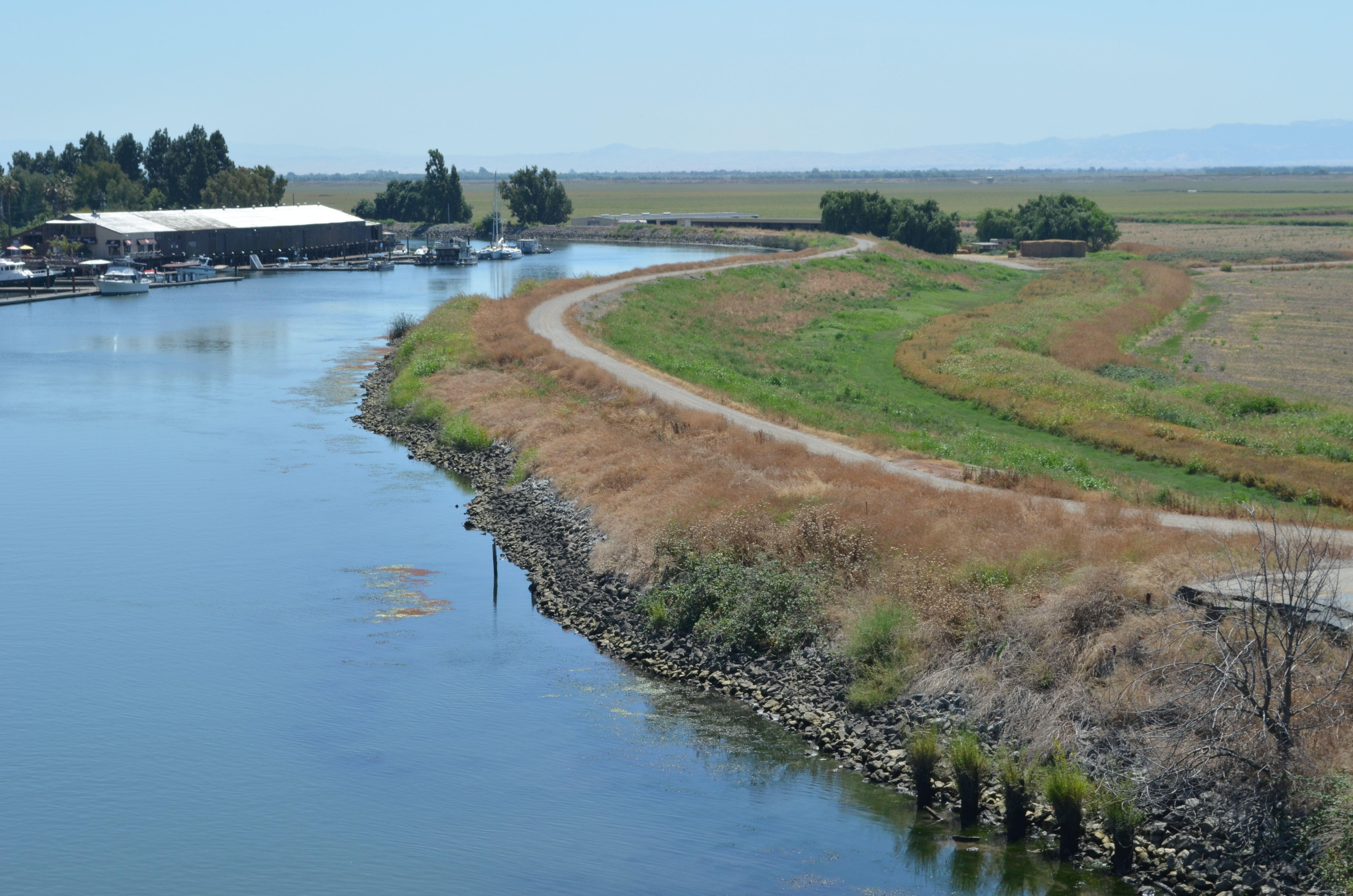 Earthen levee alongside a Delta waterway, water higher than surrounding flat land.
