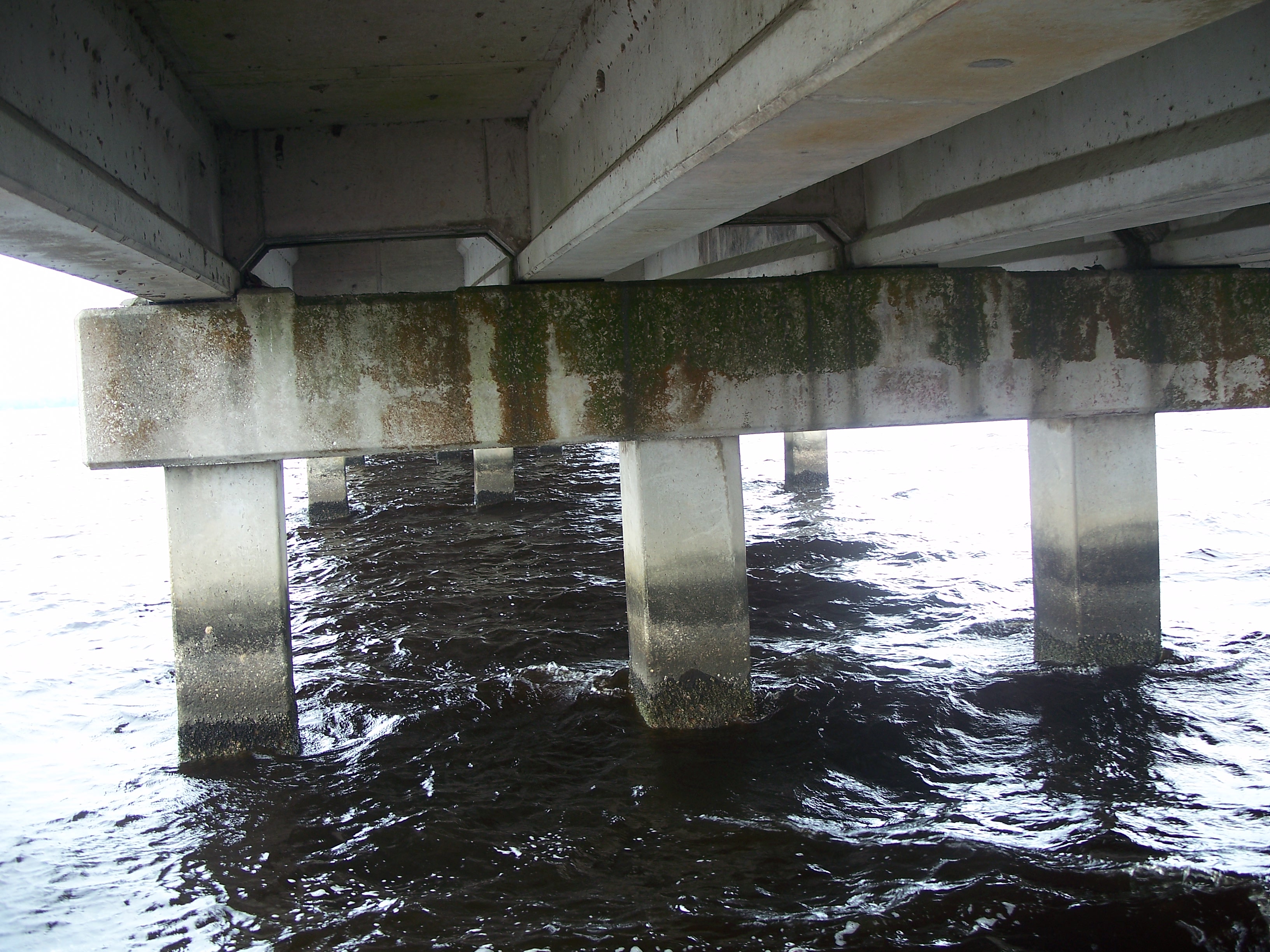 Concrete bridge support columns rising from dark river water, with green algae staining on the beams.