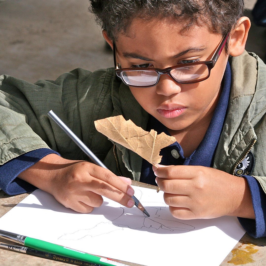 A child wearing glasses holds a dried leaf while drawing on paper.