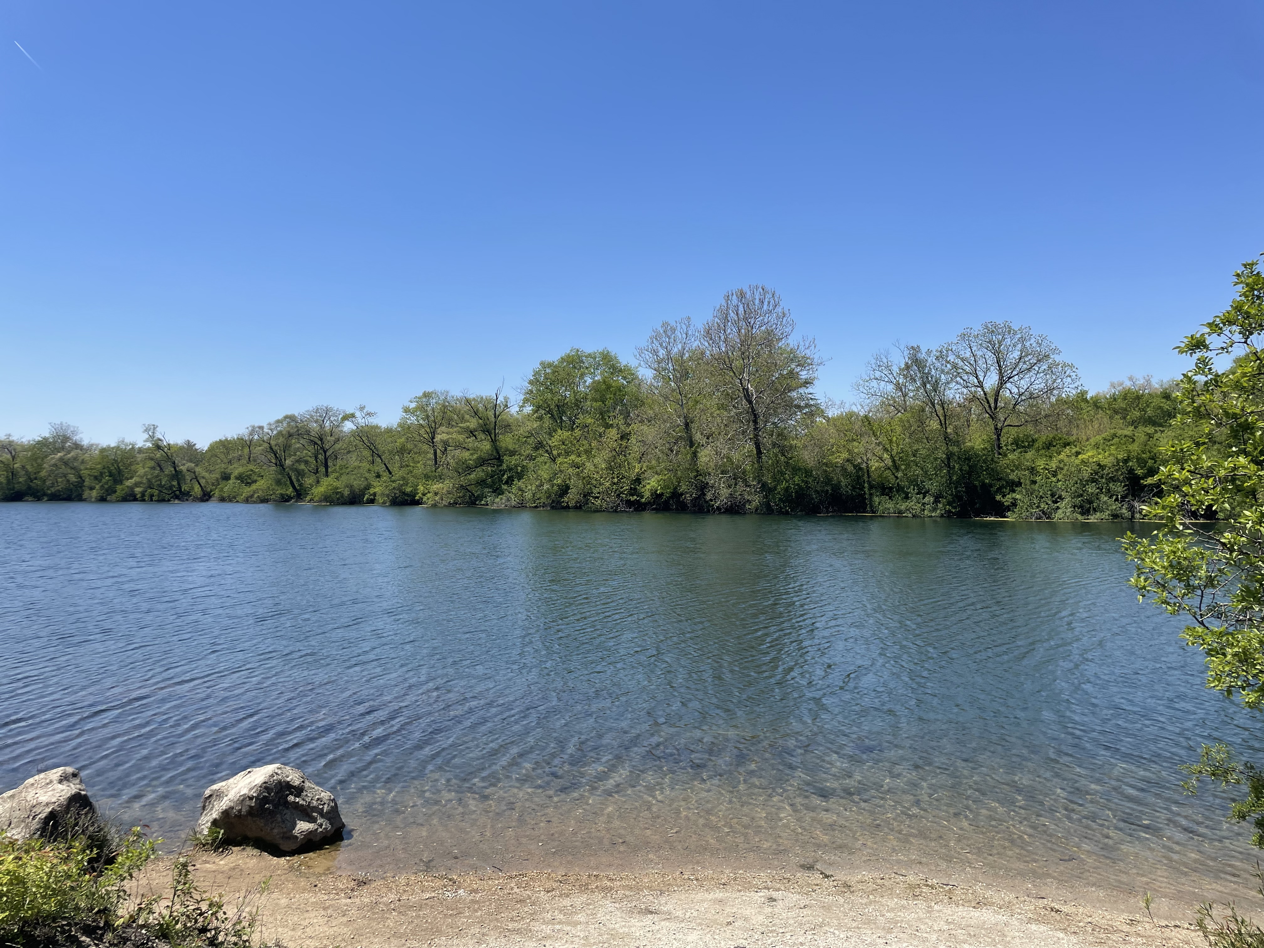 Calm lake with rocky shoreline and green trees under a clear blue sky.