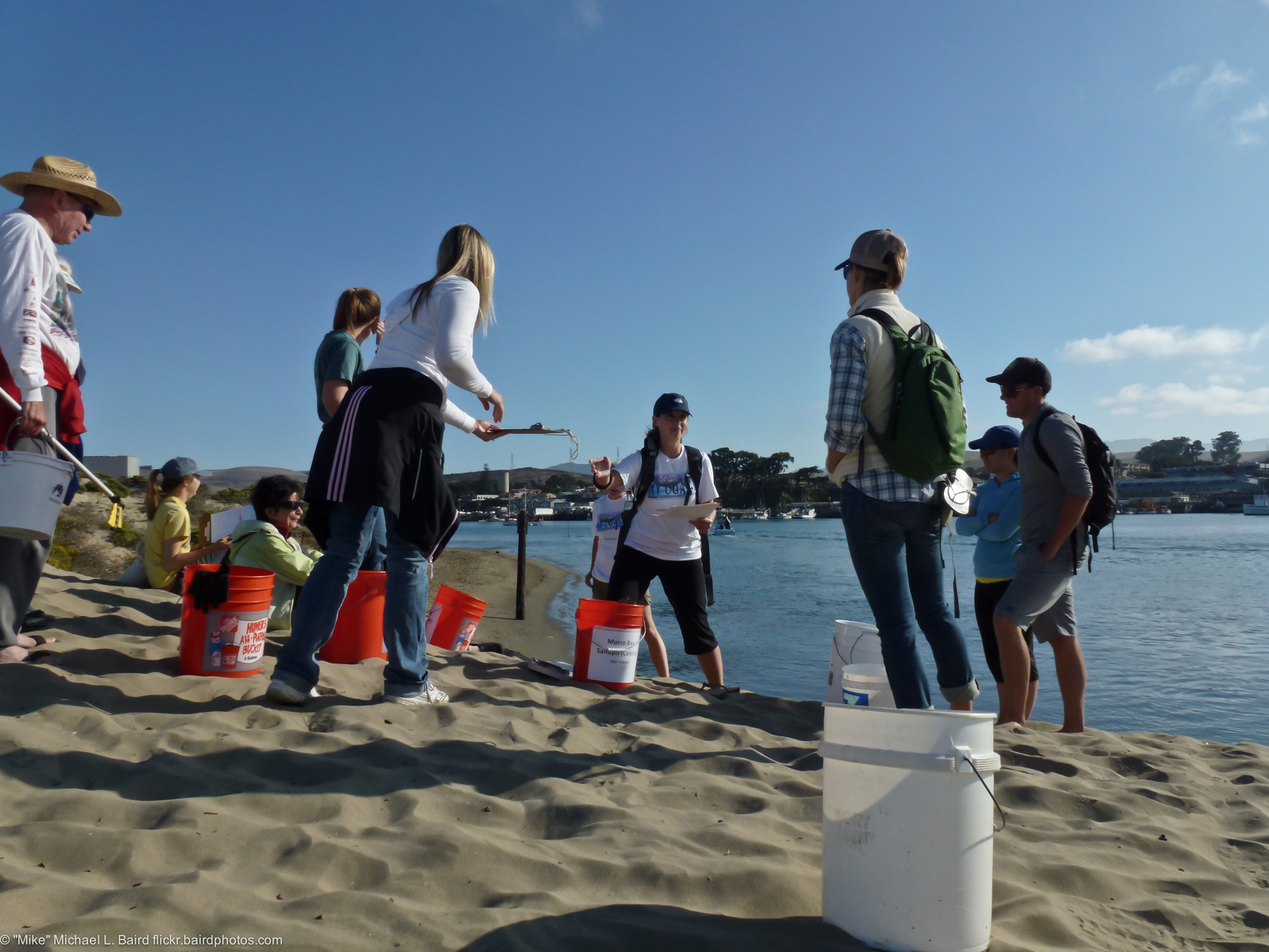 Group of volunteers with plastic buckets on a sandy beach during a coastal cleanup event.