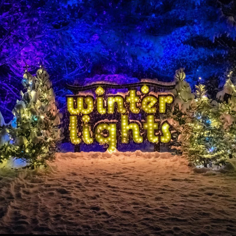 Lit marquee sign reading 'winter lights' surrounded by snow-covered trees with colorful string lights at night.