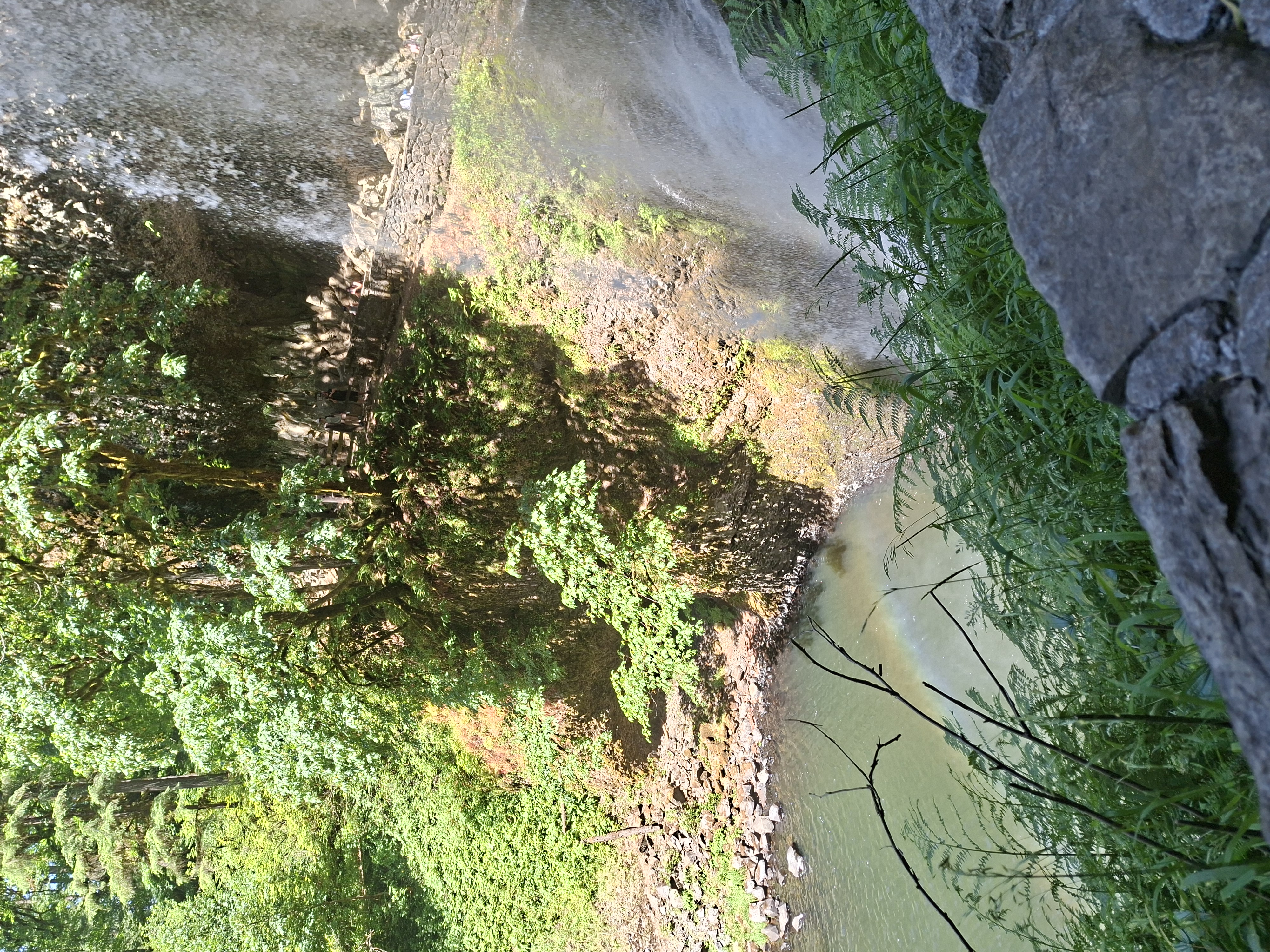 Tall waterfall dropping into a pool surrounded by green forest and rocky cliffs