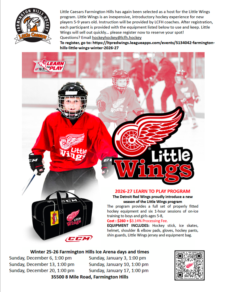 Promotional flyer showing a young child in full hockey gear for a youth learn-to-play program.