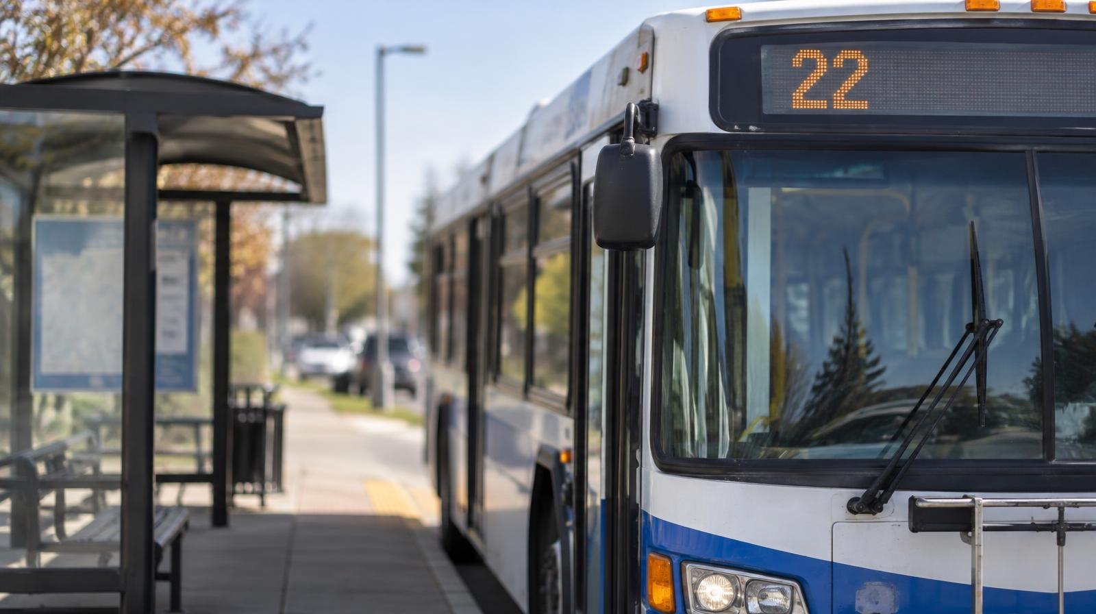 A public transit bus parked at a suburban bus stop shelter.