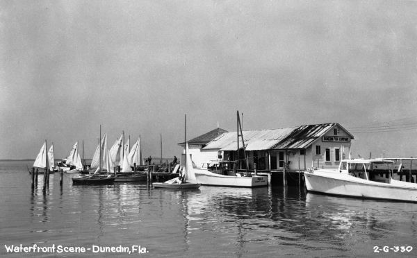 Black-and-white photo of sailboats docked at a calm waterfront marina.