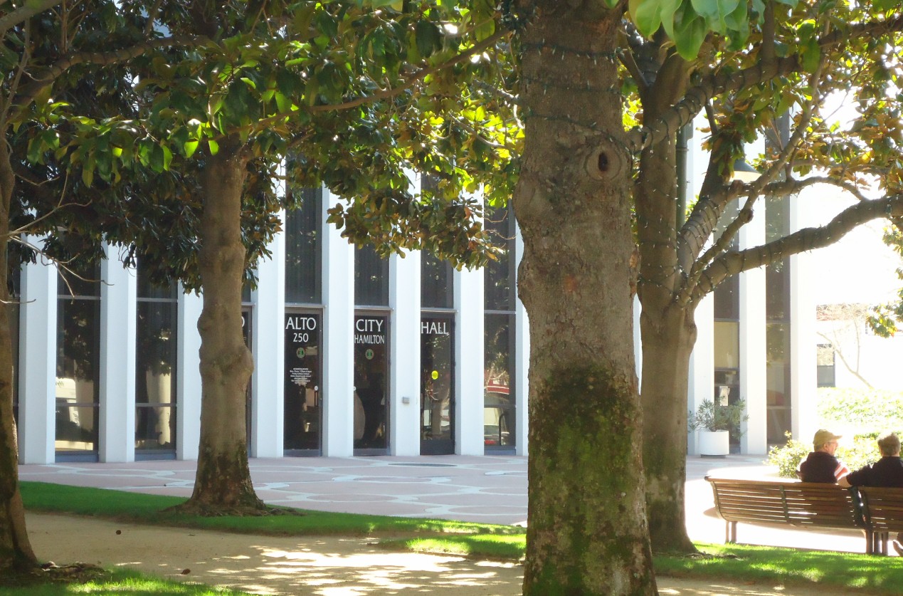 Palo Alto City Hall building seen through trees, with a person on a bench in the foreground.