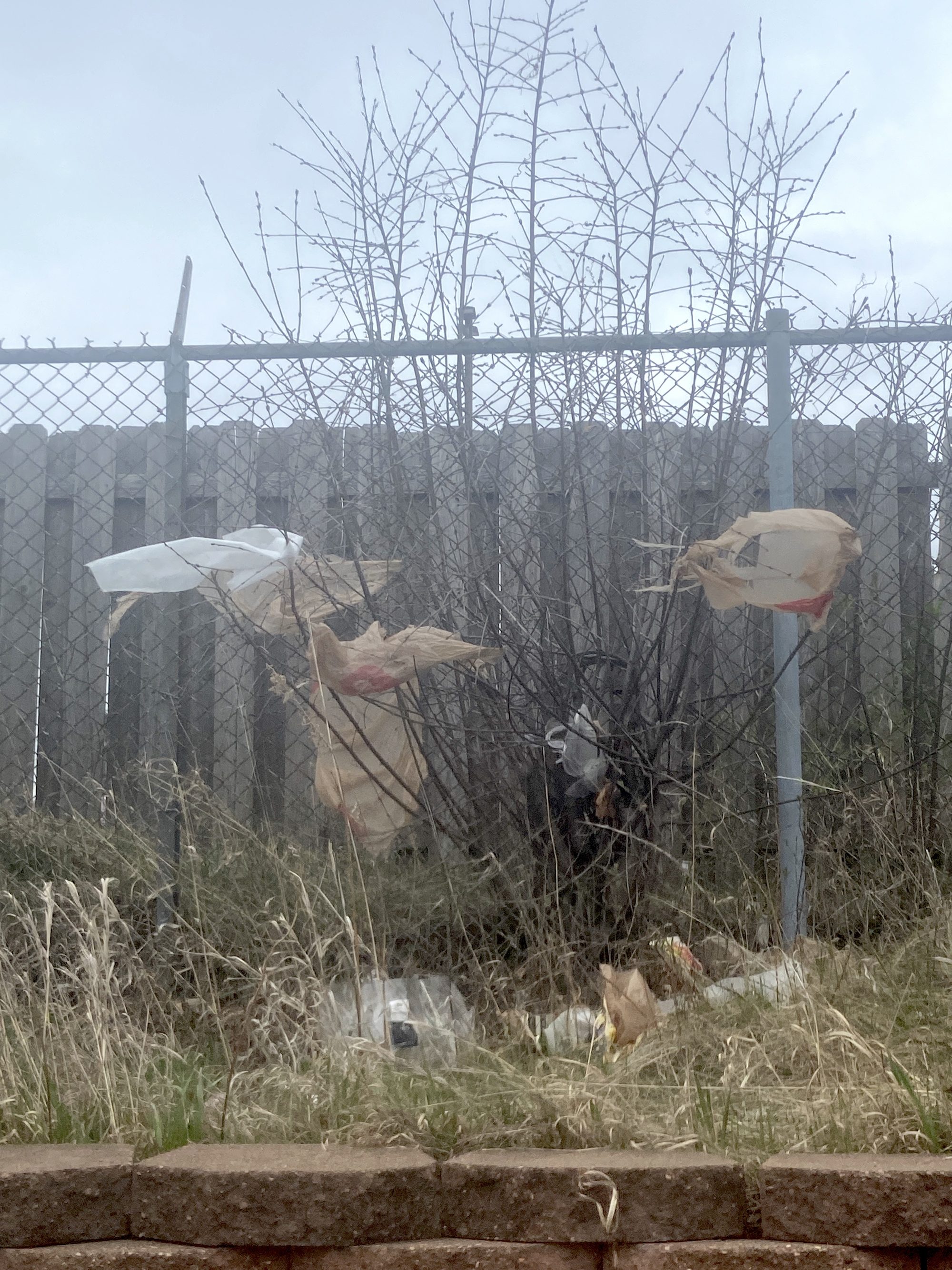 Plastic grocery shopping bags stuck in bush catching the wind.
More trash at the base of the bush.
Chain link barbed-wire fence and wooden fence in the background.
block wall in the foreground.

Bloomington, Minnesota, USA