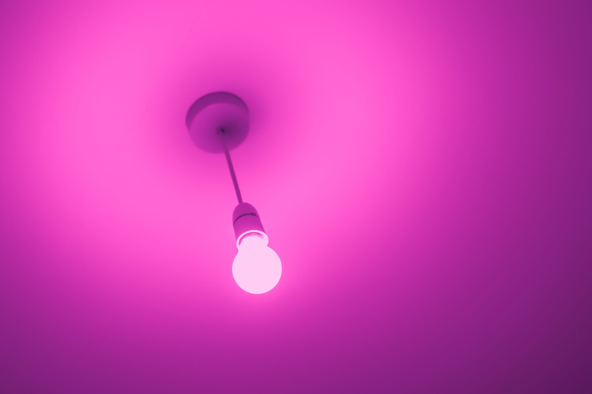 A glowing light bulb with a vivid pink hue hangs from the ceiling, creating a minimalist aesthetic.
