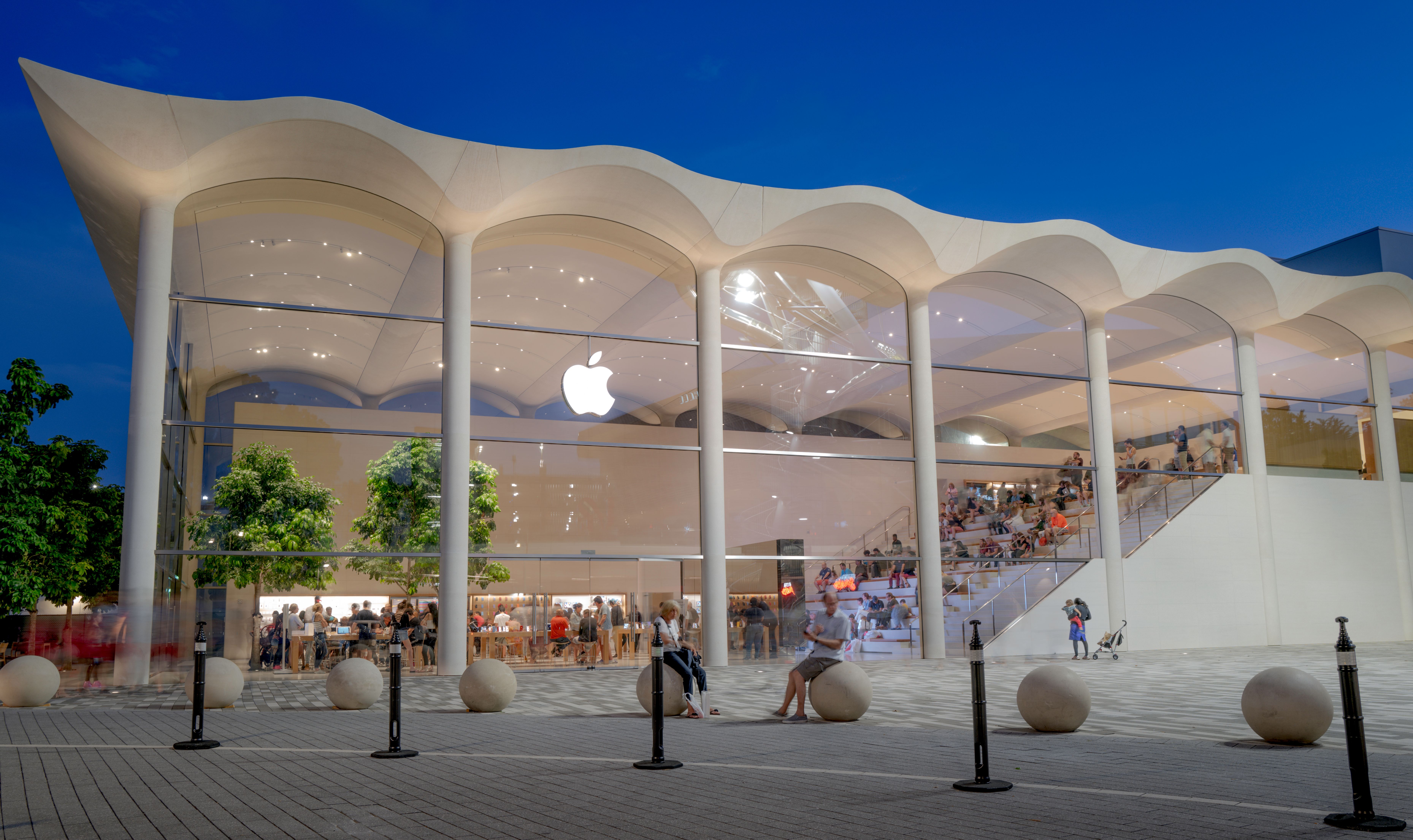 Modern retail store with a curved white concrete roof and glass facade at dusk.