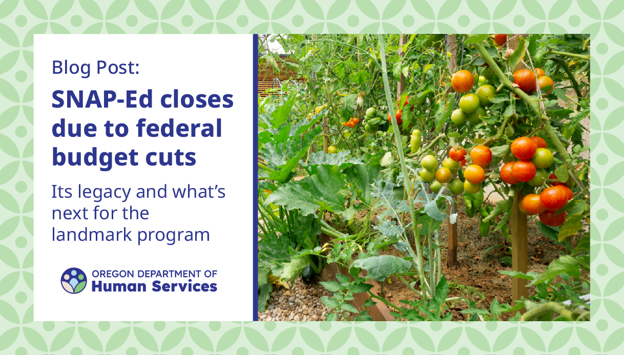 Graphic showing a tomato plant with text announcing the closure of SNAP-Ed.