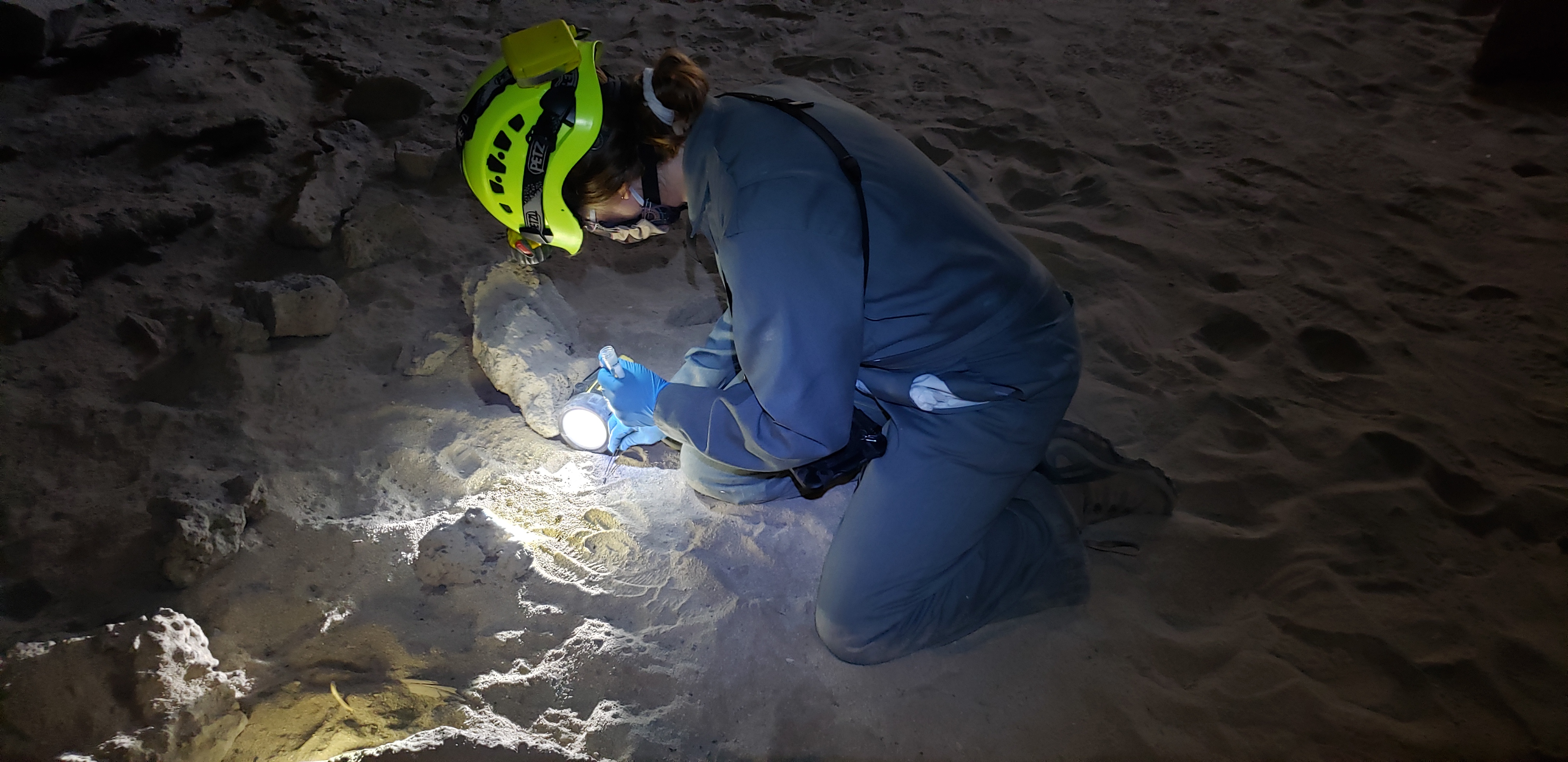 A researcher in a yellow helmet and blue gloves examines a dark cave floor with a flashlight.