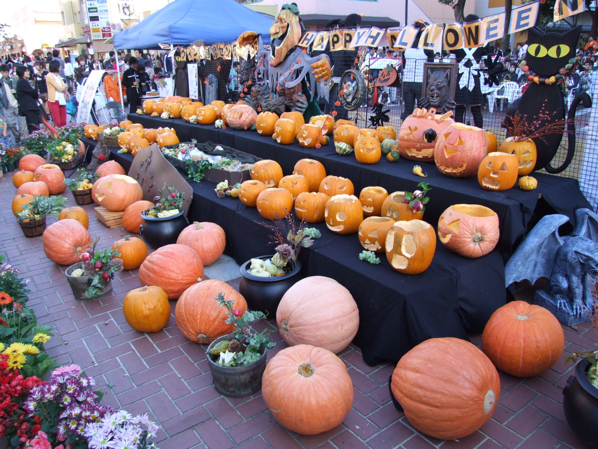 Dozens of carved jack-o-lanterns and pumpkins displayed on black-draped tables at an outdoor Halloween festival.