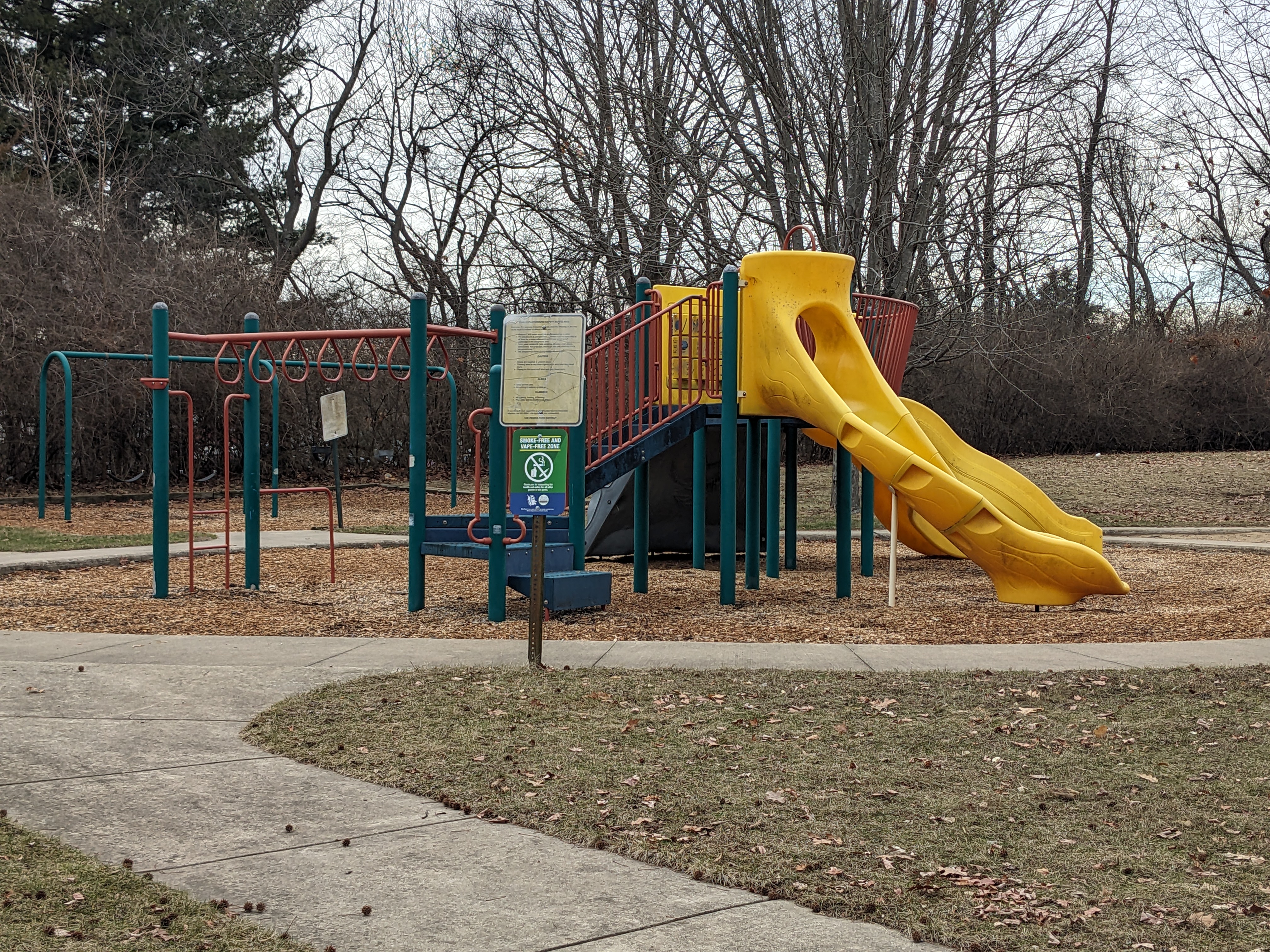 Children's playground with a yellow slide, monkey bars, and wood chip ground cover.