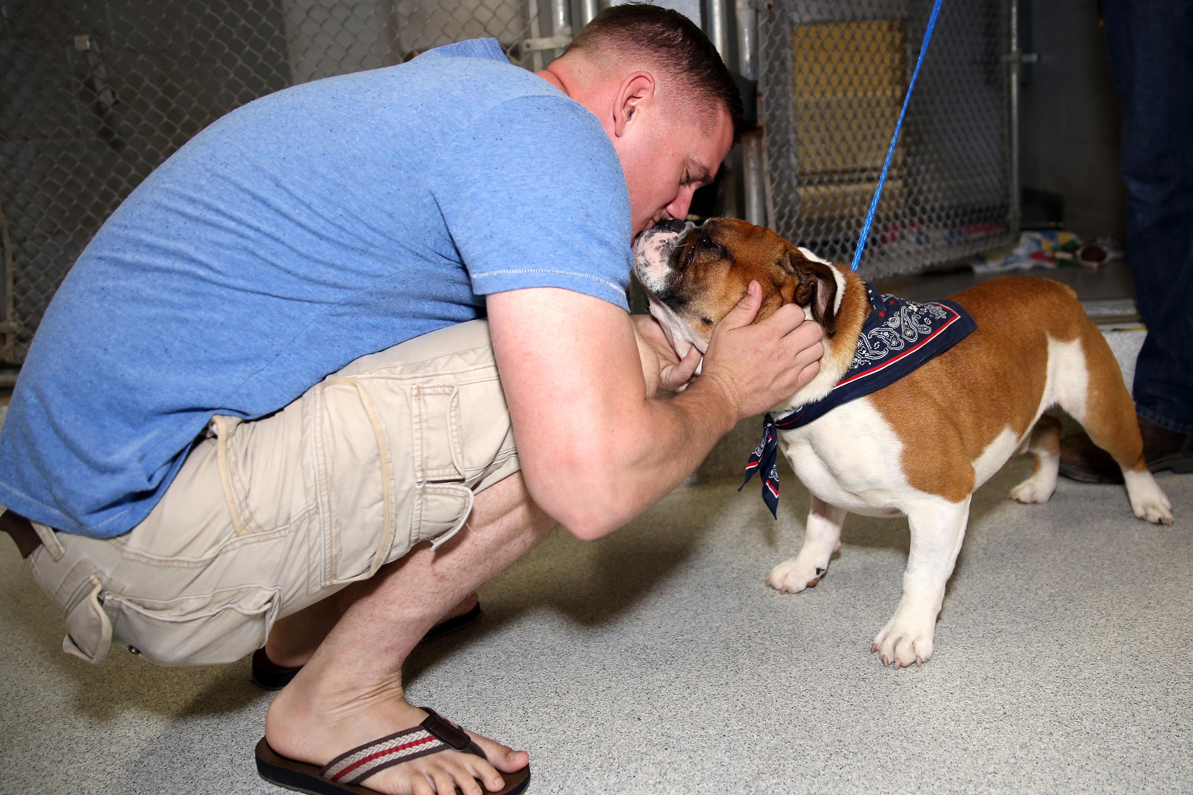 Man crouching as an English Bulldog licks his face inside a shelter.