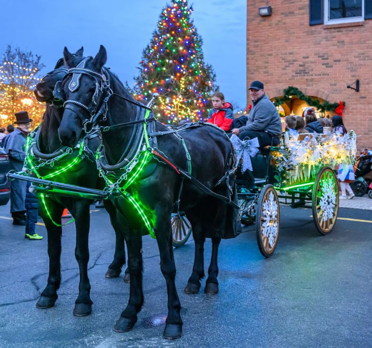 Two horses pulling a decorated carriage with passengers in front of a lit Christmas tree at dusk.